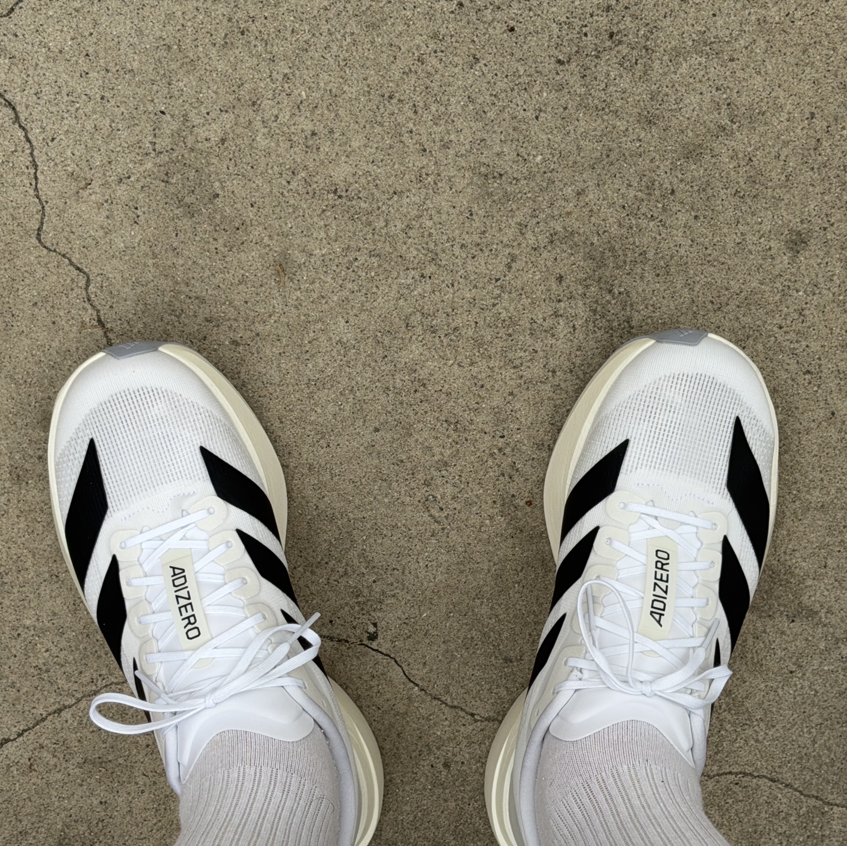 Adidas Adizero EVO SL Cloud White Core Black 착용 스타일