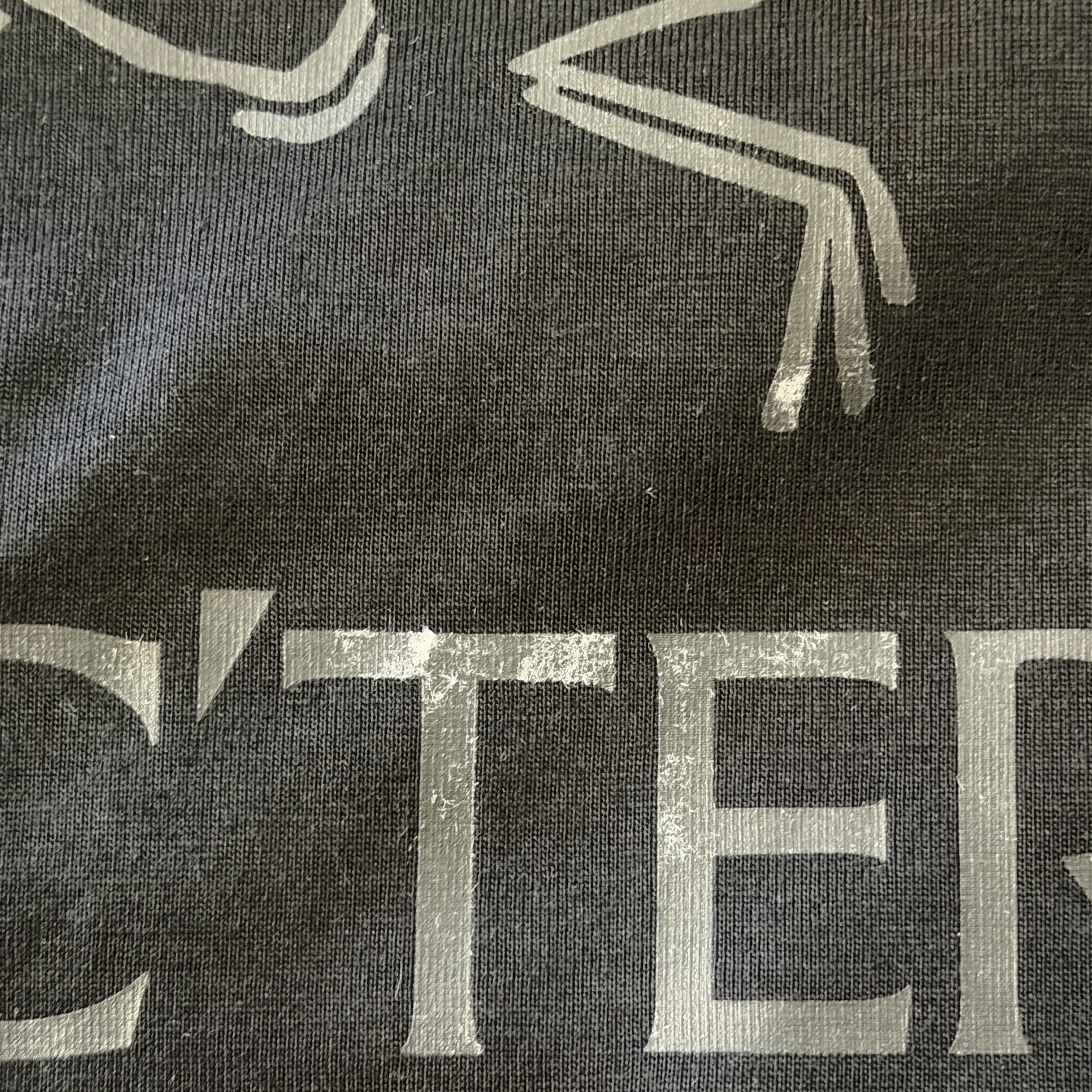 Arc'teryx Arc'word Logo SS T-Shirt Black 착용 스타일 - 4