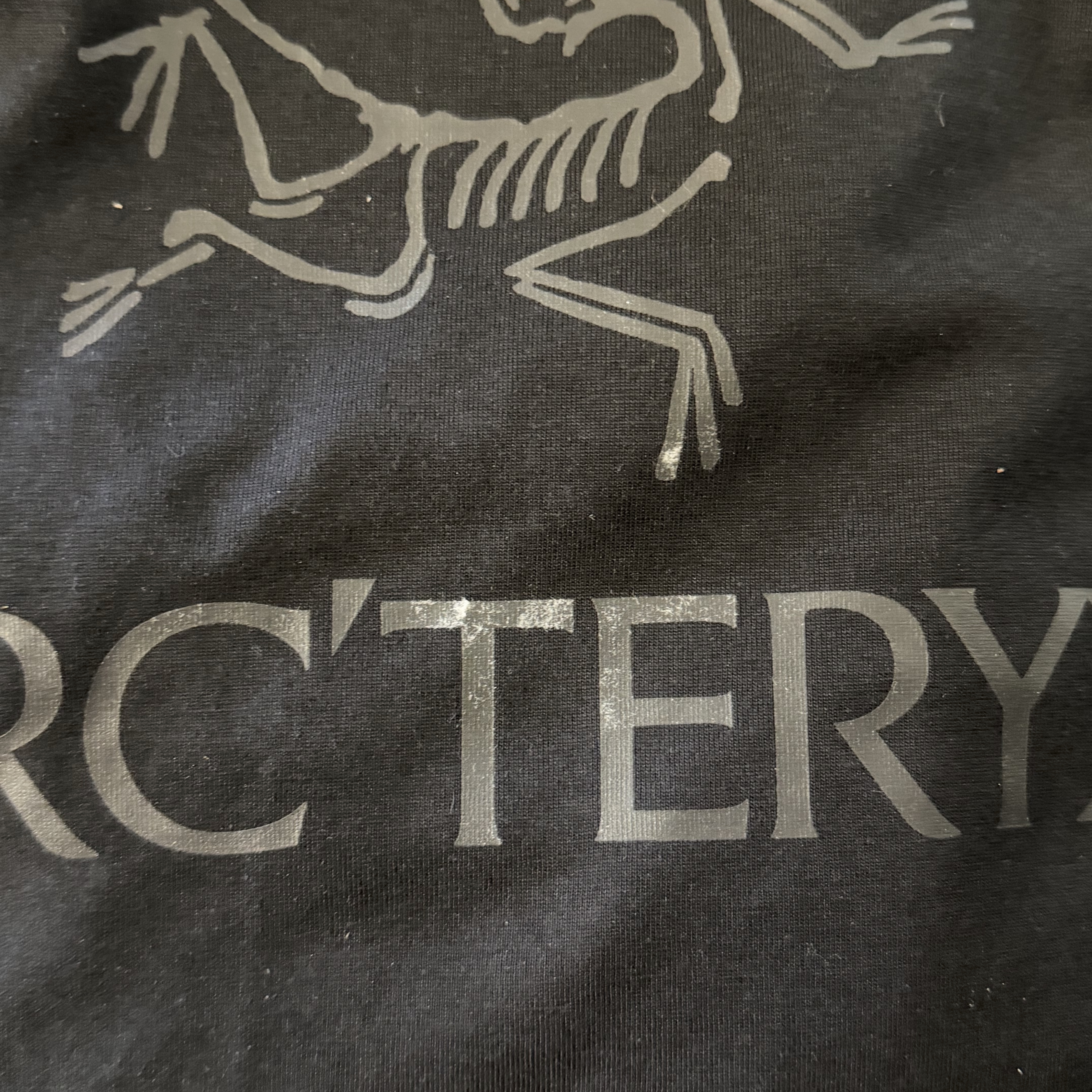 Arc'teryx Arc'word Logo SS T-Shirt Black 착용 스타일 - 3