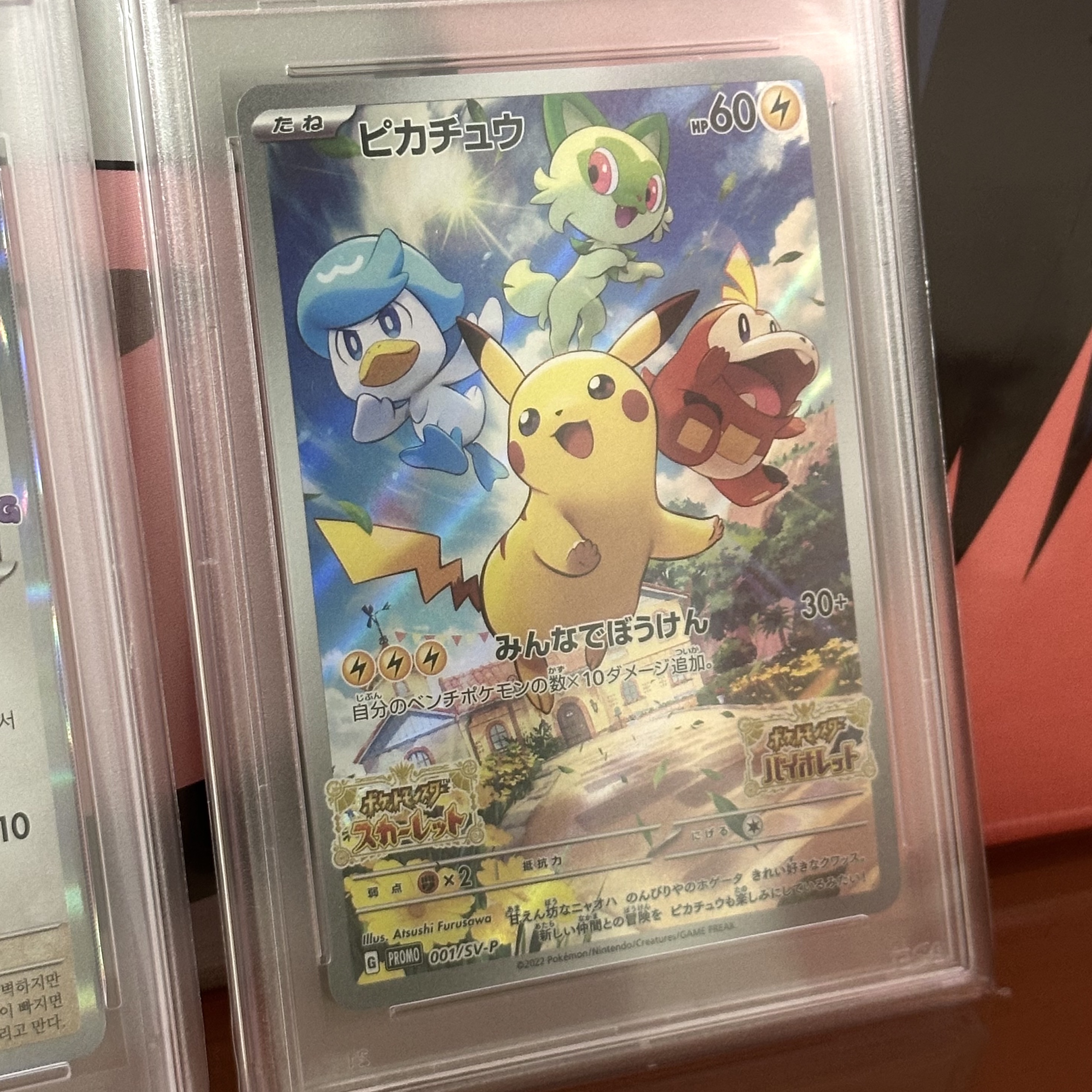 Pokemon TCG Pikachu P Scarlet & Violet Promos (Japanese Ver.), Pokemon TCG Ditto's Time Capsule Promo Card Ditto 착용 스타일 - 3