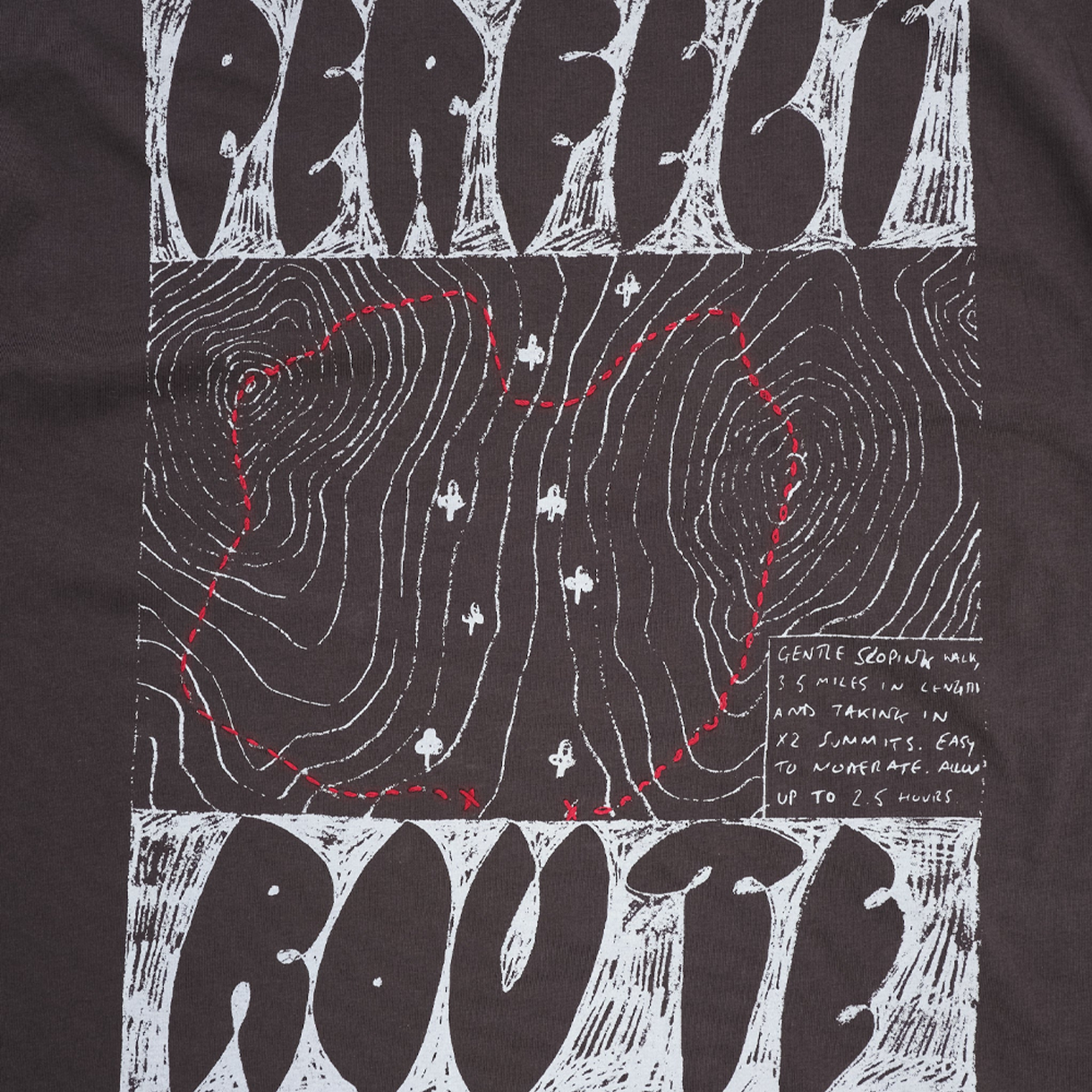 스토리 엠에프지 우먼 그레이트풀 티 숏슬리브 차콜 테이크 어 하이크 - 26FW(Story mfg Women Grateful Tee SS Charcoal Take A Hike - 26FW) - 3