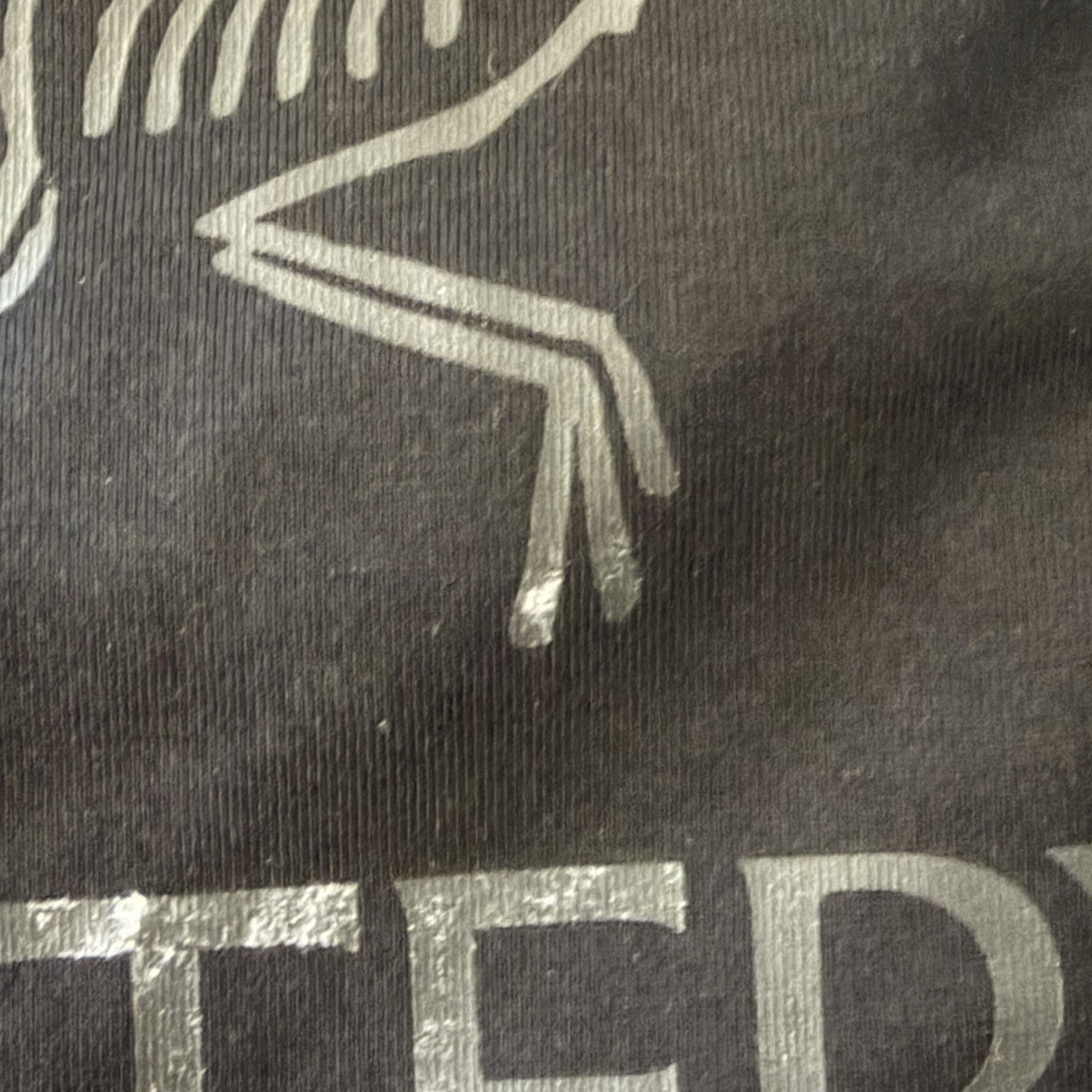 Arc'teryx Arc'word Logo SS T-Shirt Black 착용 스타일 - 2