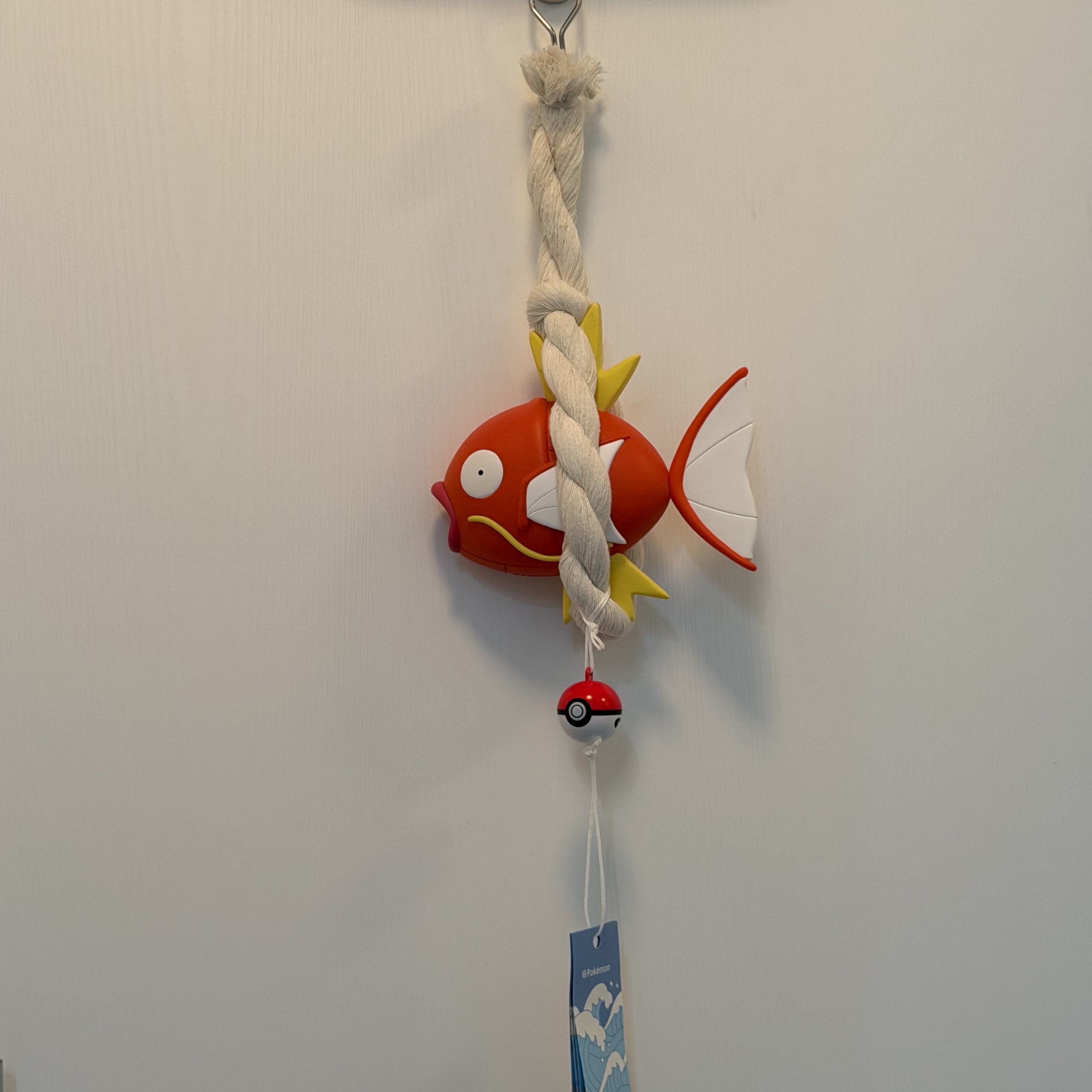 Animore POKEMON magikarp view 착용 스타일