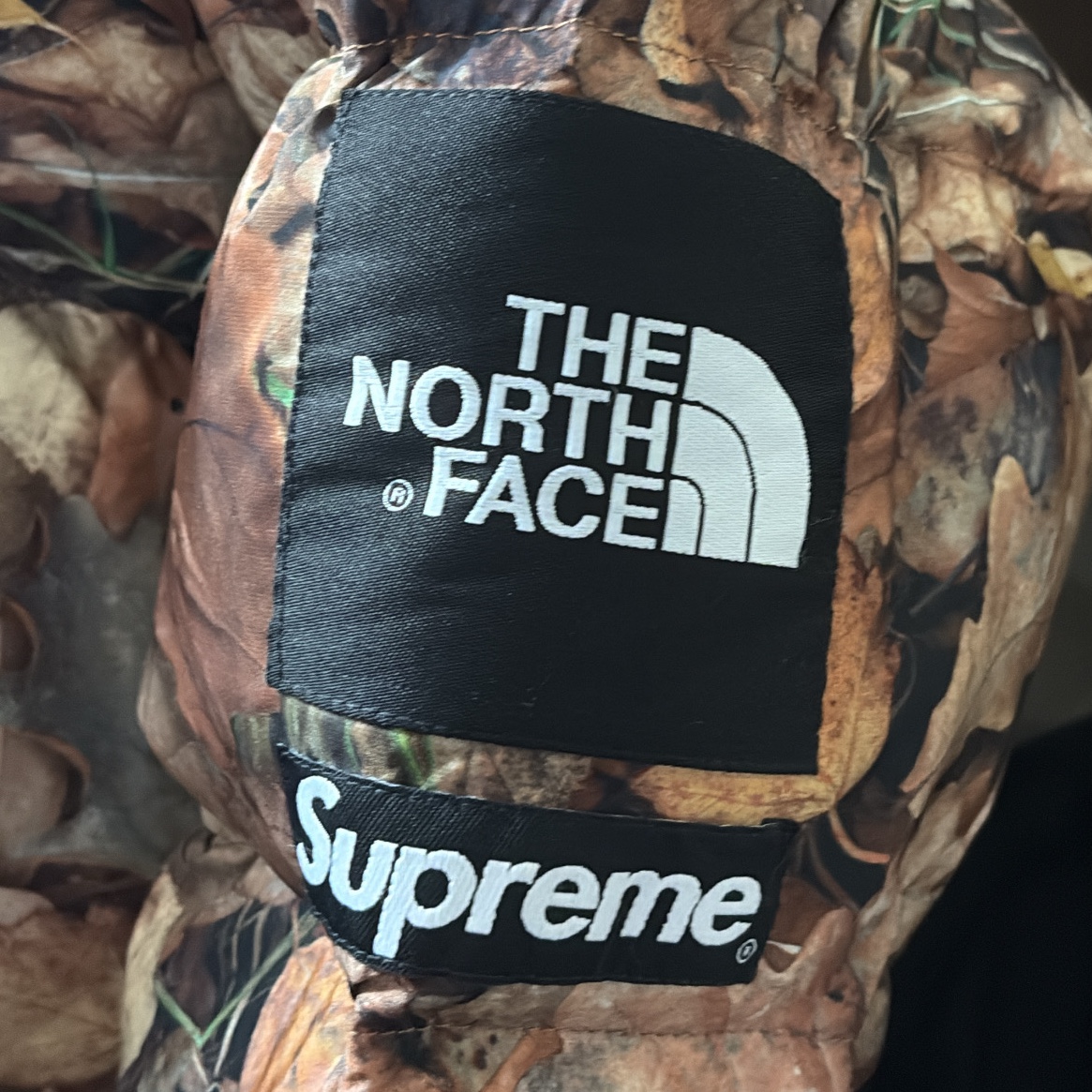 Supreme x The North Face Nuptse Leaves - 16FW 착용 스타일 - 1