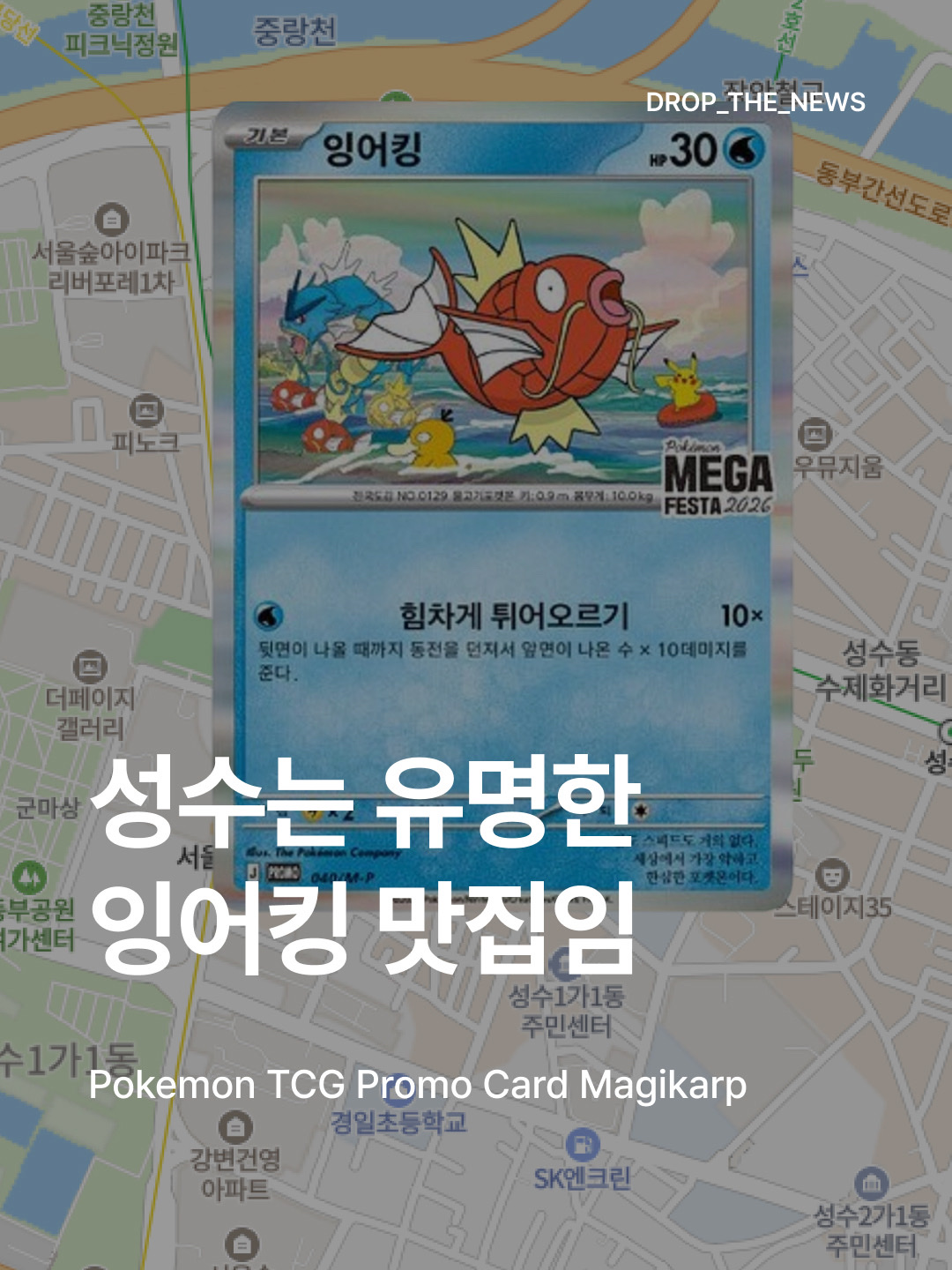 Pokemon TCG Mega Festa 2026 Promo Card Magikarp, Pokemon TCG Mega Festa 2026 Promo Card Magikarp (Bundle of 2/Ungraded Pack Ver.) ์ฐฉ์ฉ ์คํ์ผ - 1