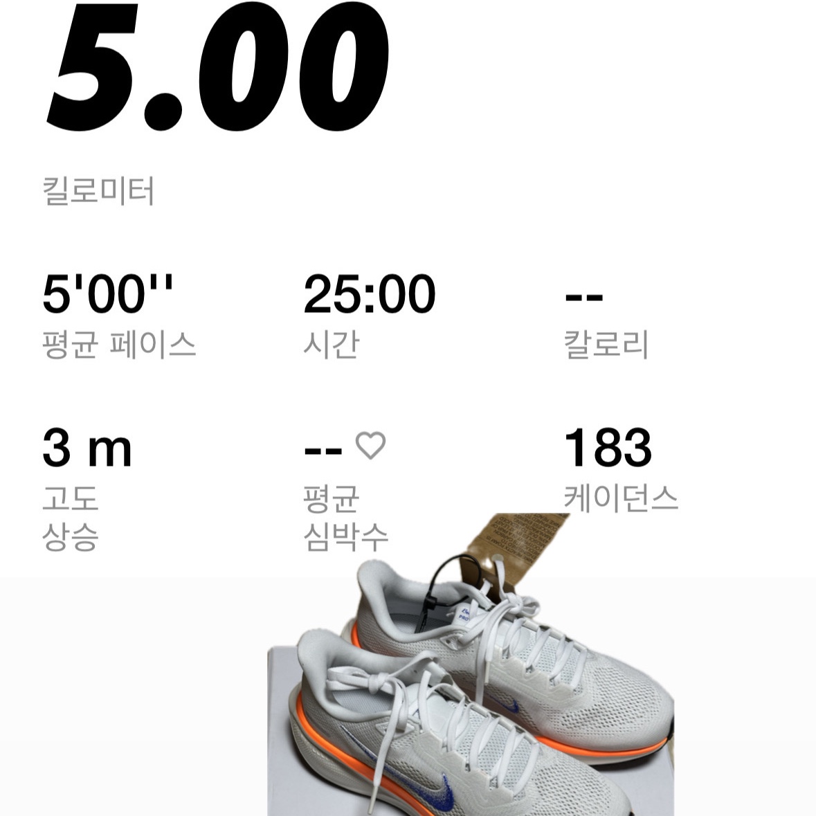 Nike Air Zoom Pegasus 41 Blueprint 착용 스타일