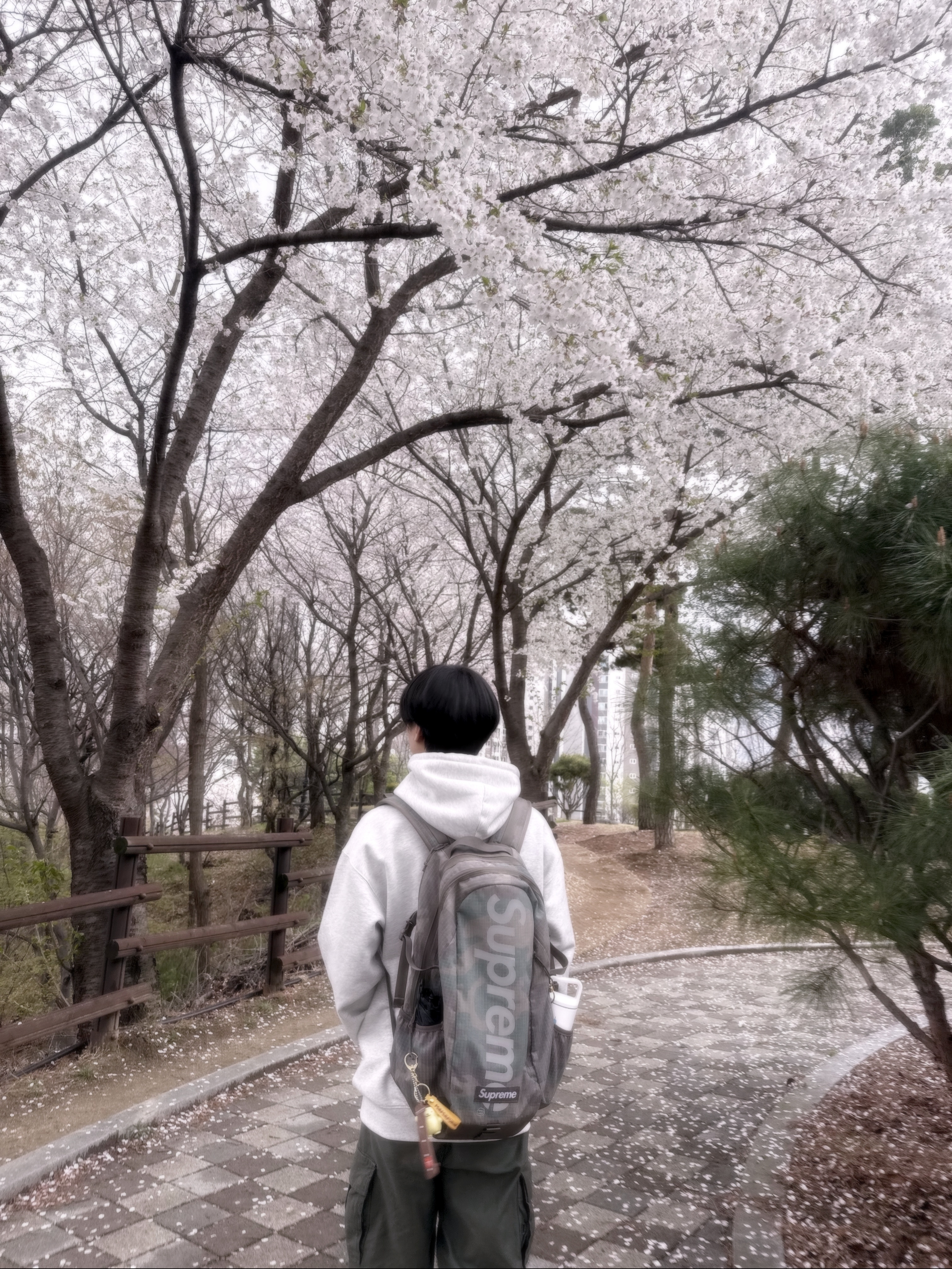 Supreme x Jordan Hooded Sweatshirt Ash Grey - 24FW, Human Made x Blue Bottle Coffee Sipper Straw Bottle White 착용 스타일 - 3