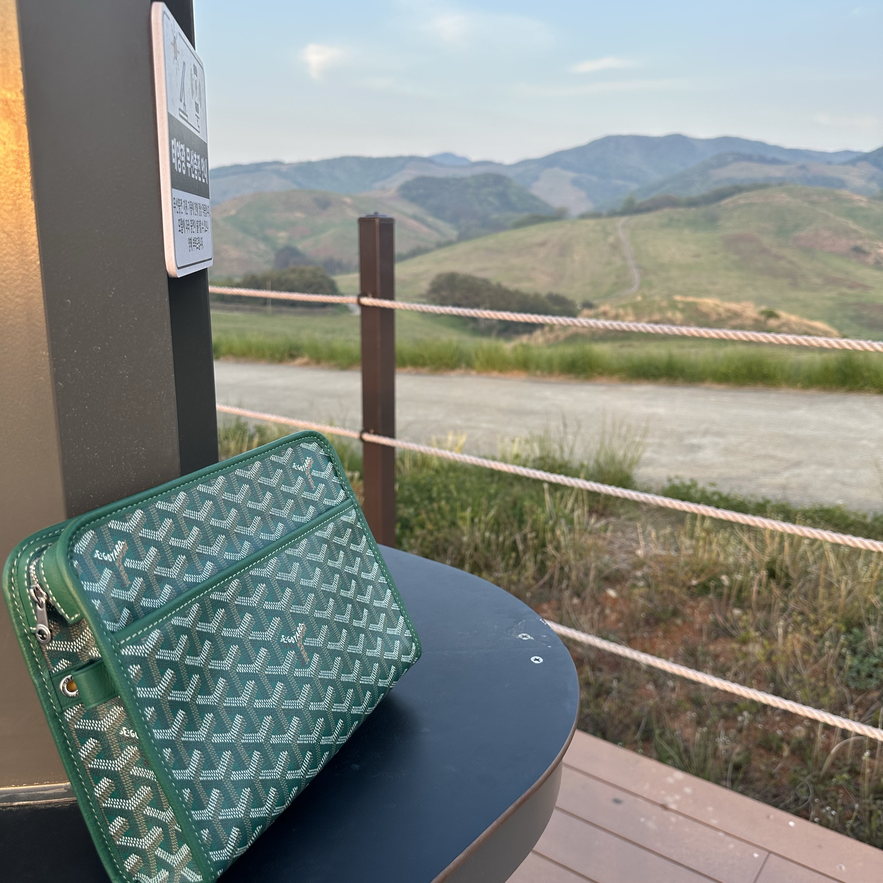 Goyard Jouvence MM Toilet Bag Green 착용 스타일