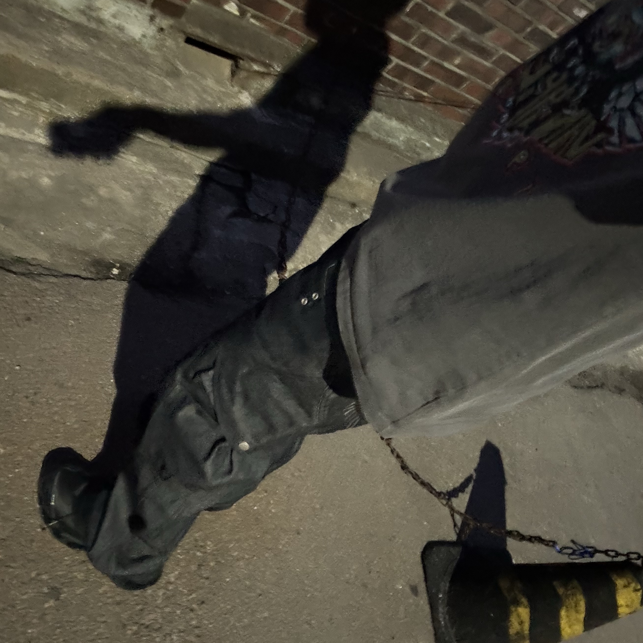 IGNOTA Core:14 Shell Cargo Pants Indigo, Mizuno Wave Prophecy LS GTX  Black Sand Black 착용 스타일