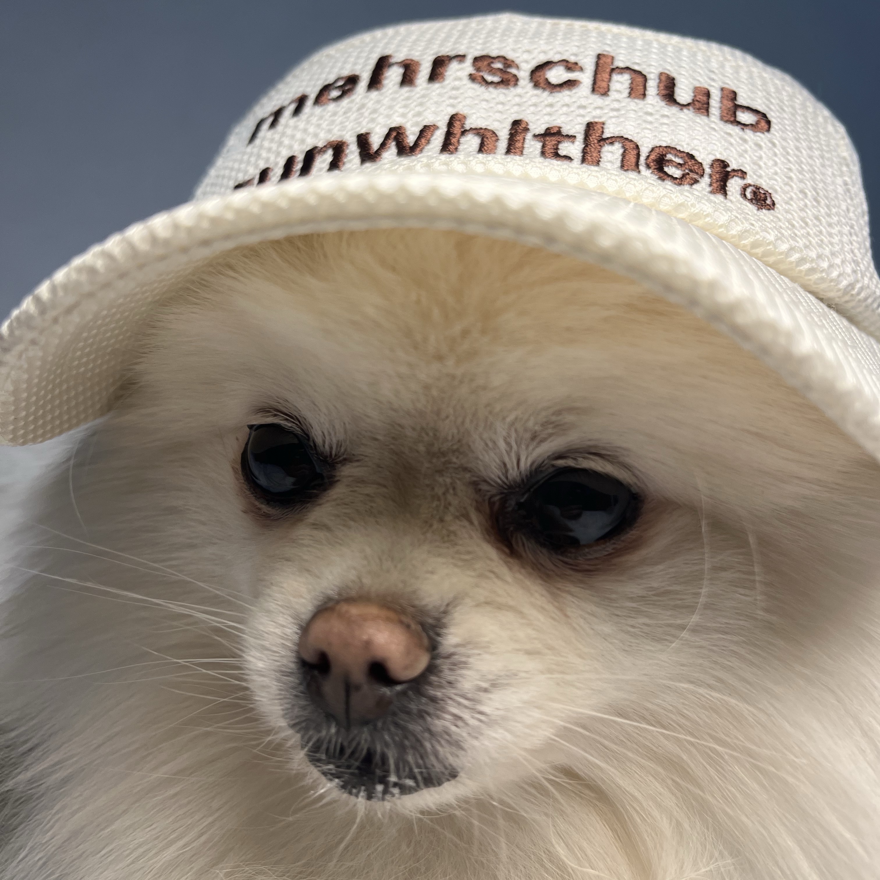 [KREAM 단독] runwhither Mesh Cap Ivory 착용 스타일 - 2