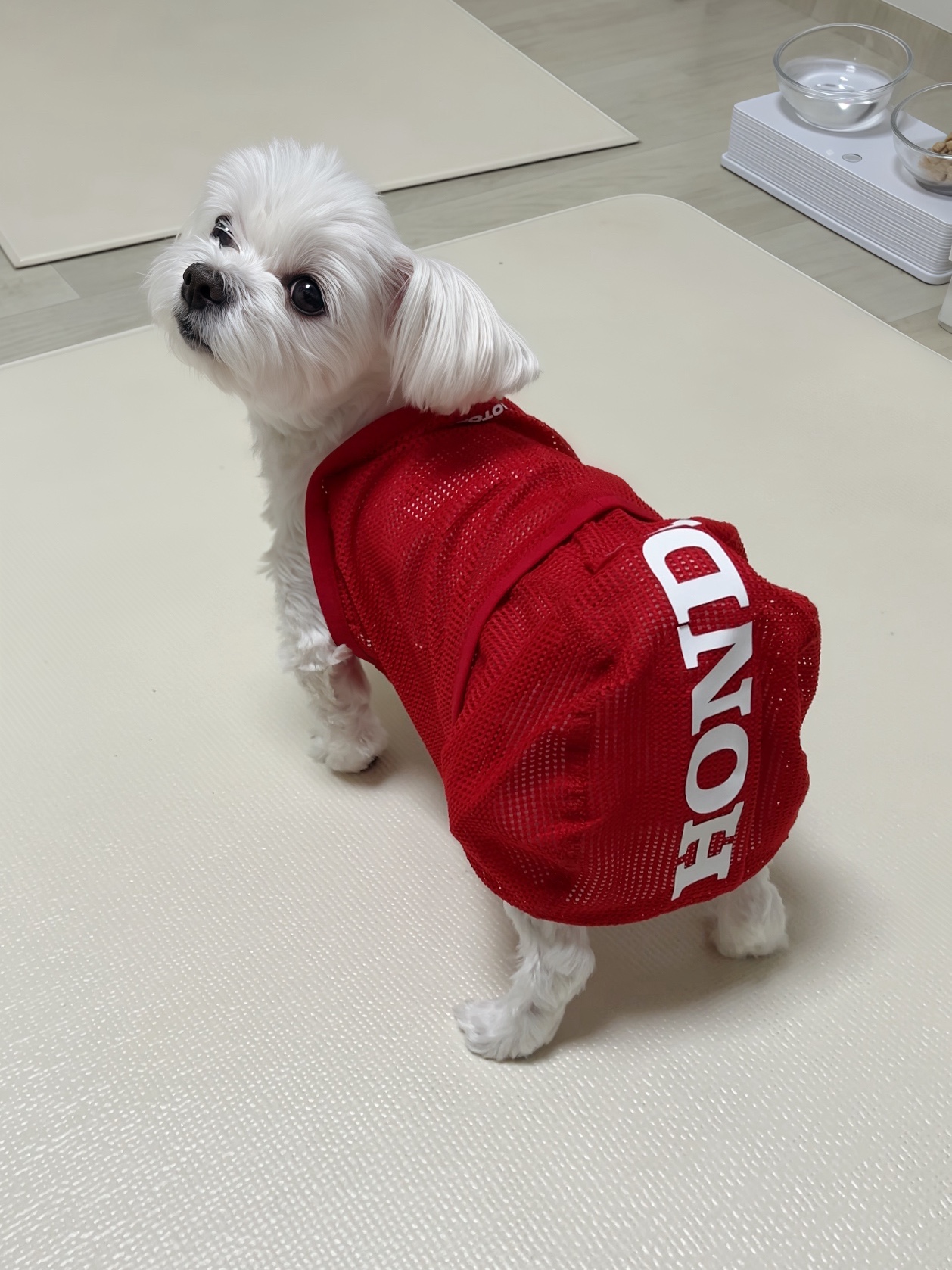 Honda Light Mesh Balaclava_Red 착용 스타일 - 1