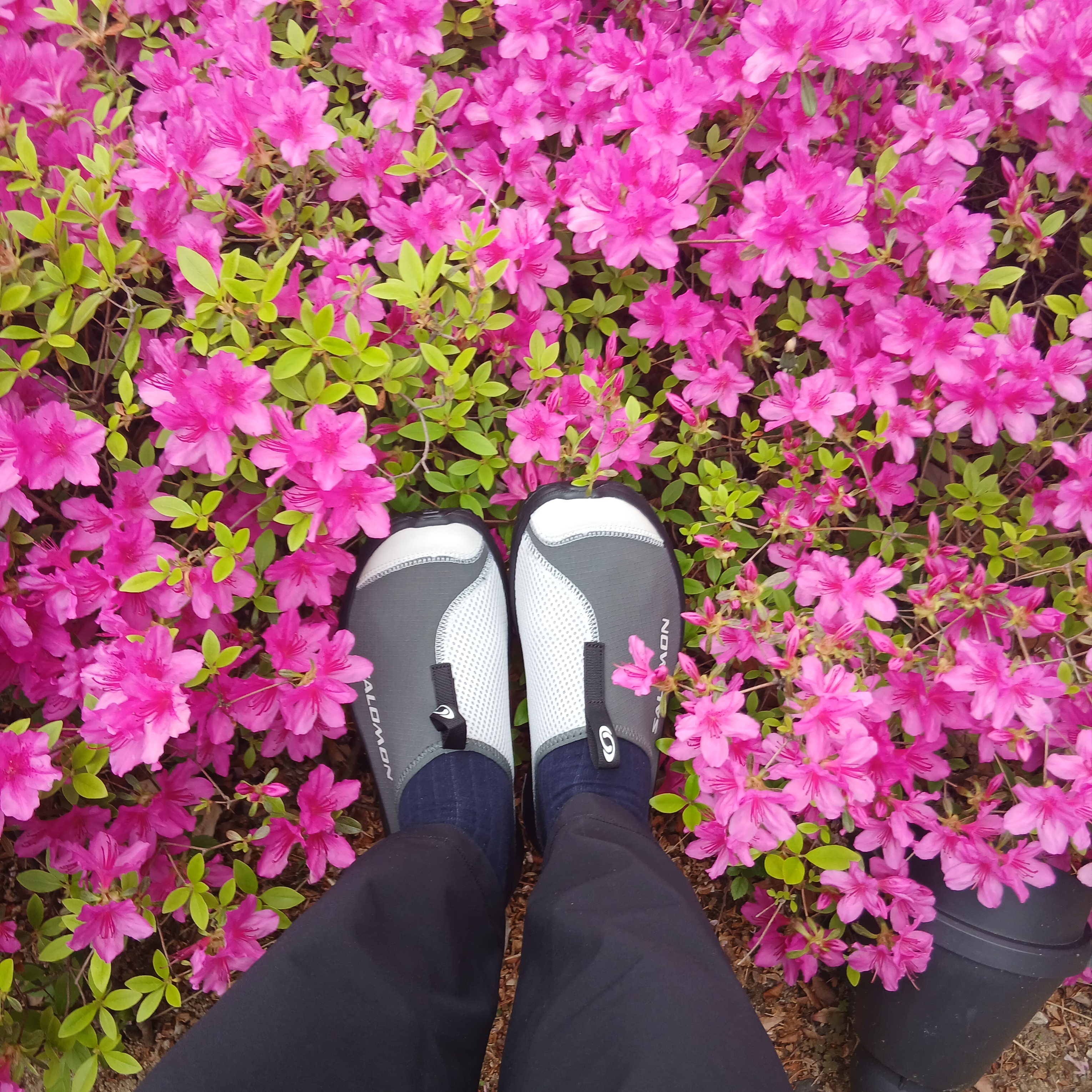 Lululemon Pace Breaker Pants Shorter Black, Salomon RX Slide 3.0 Urban Chic Lunar Rock 착용 스타일 - 1