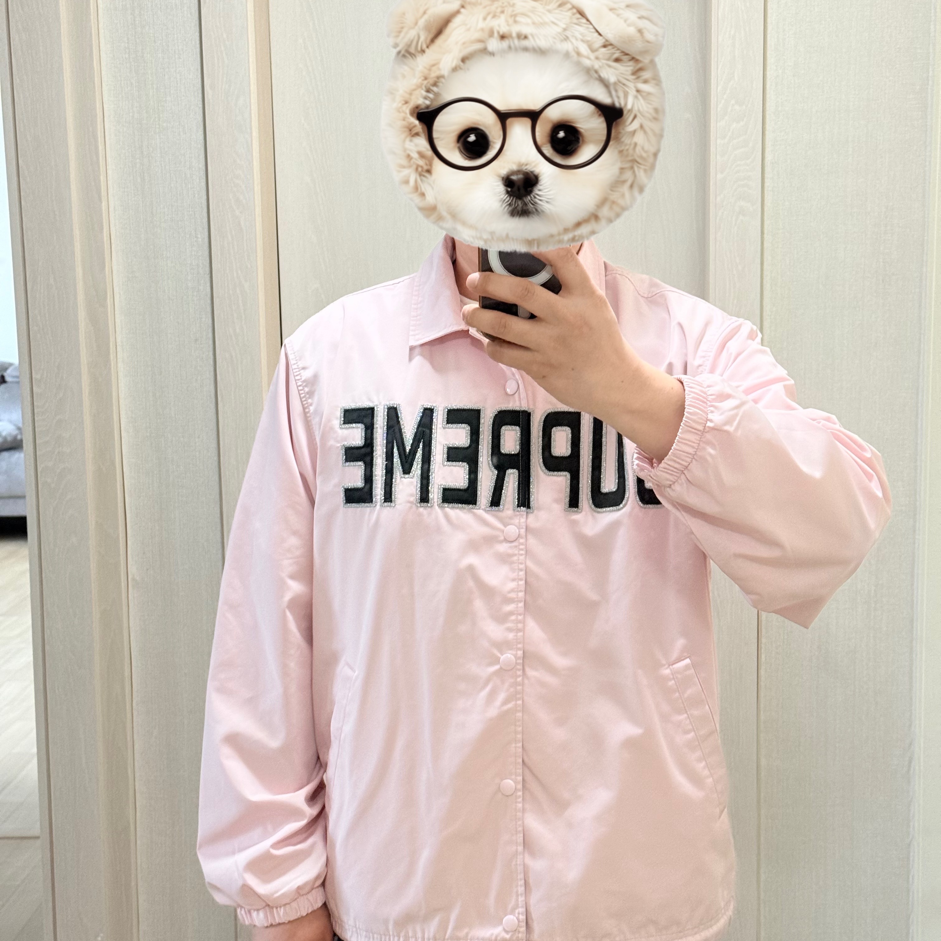 Supreme Spellout Coaches Jacket Pink - 26SS 착용 스타일