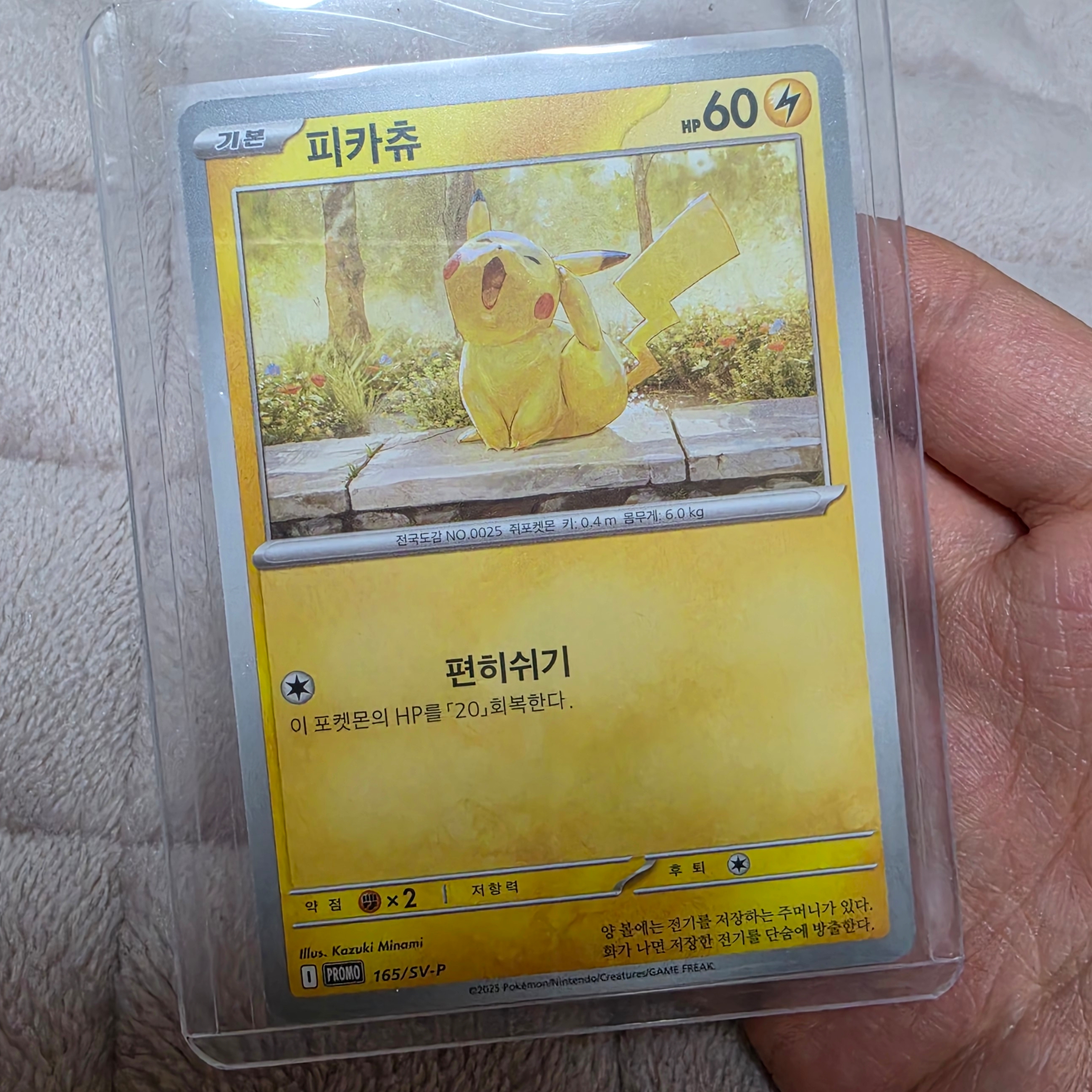 Pokemon TCG Pikachu P Scarlet & Violet Promos (Japanese Ver.) 착용 스타일