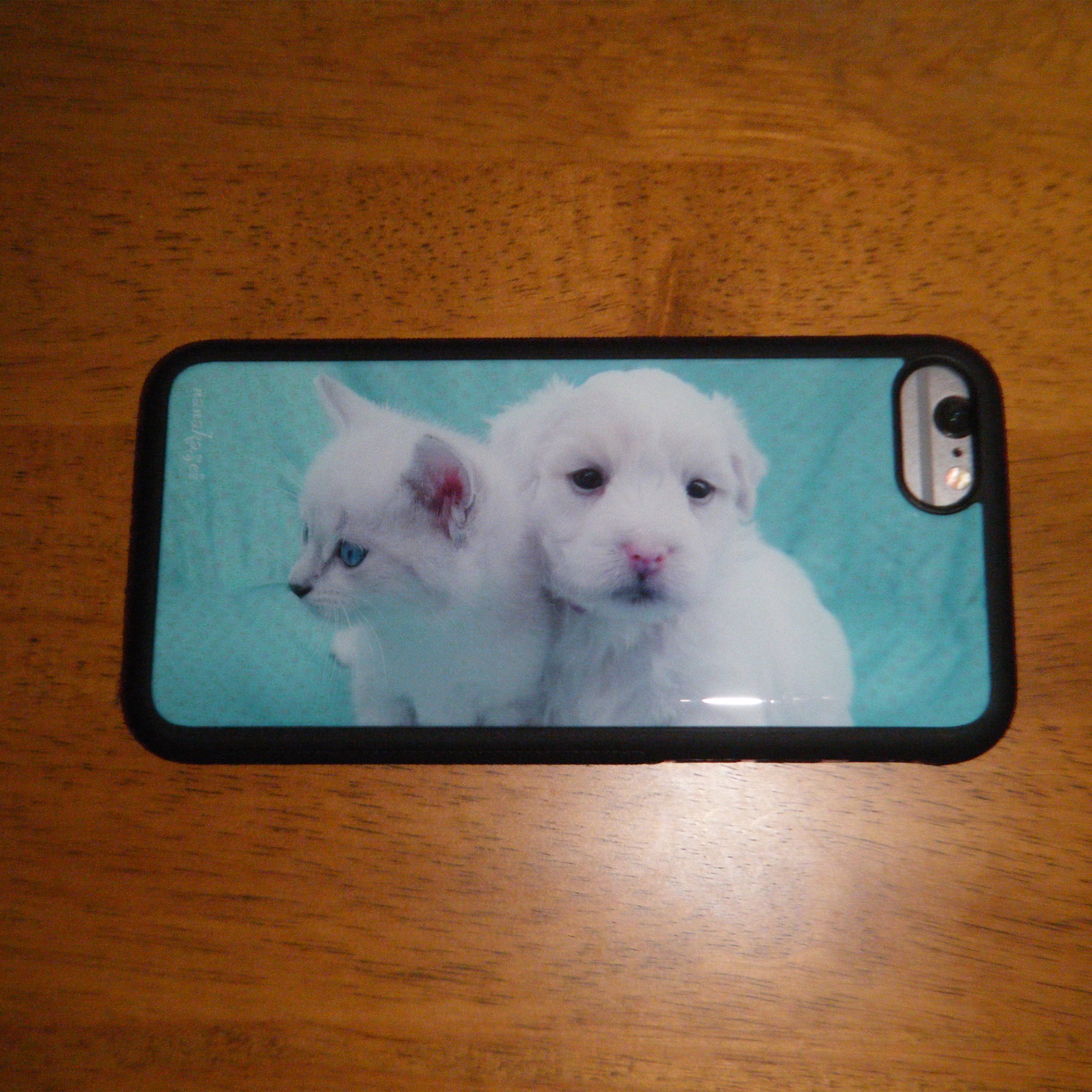 NANAKASEI kitten & puppy epoxy bumper case, NANAKASEI four bunnies epoxy bumper case 착용 스타일 - 2