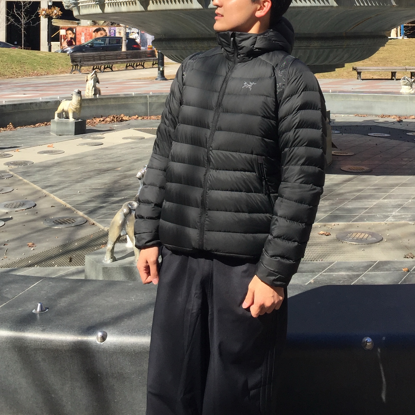 Adidas Parachute Pants Black - KR Sizing, Arc'teryx Heliad 10 Backpack Black 착용 스타일