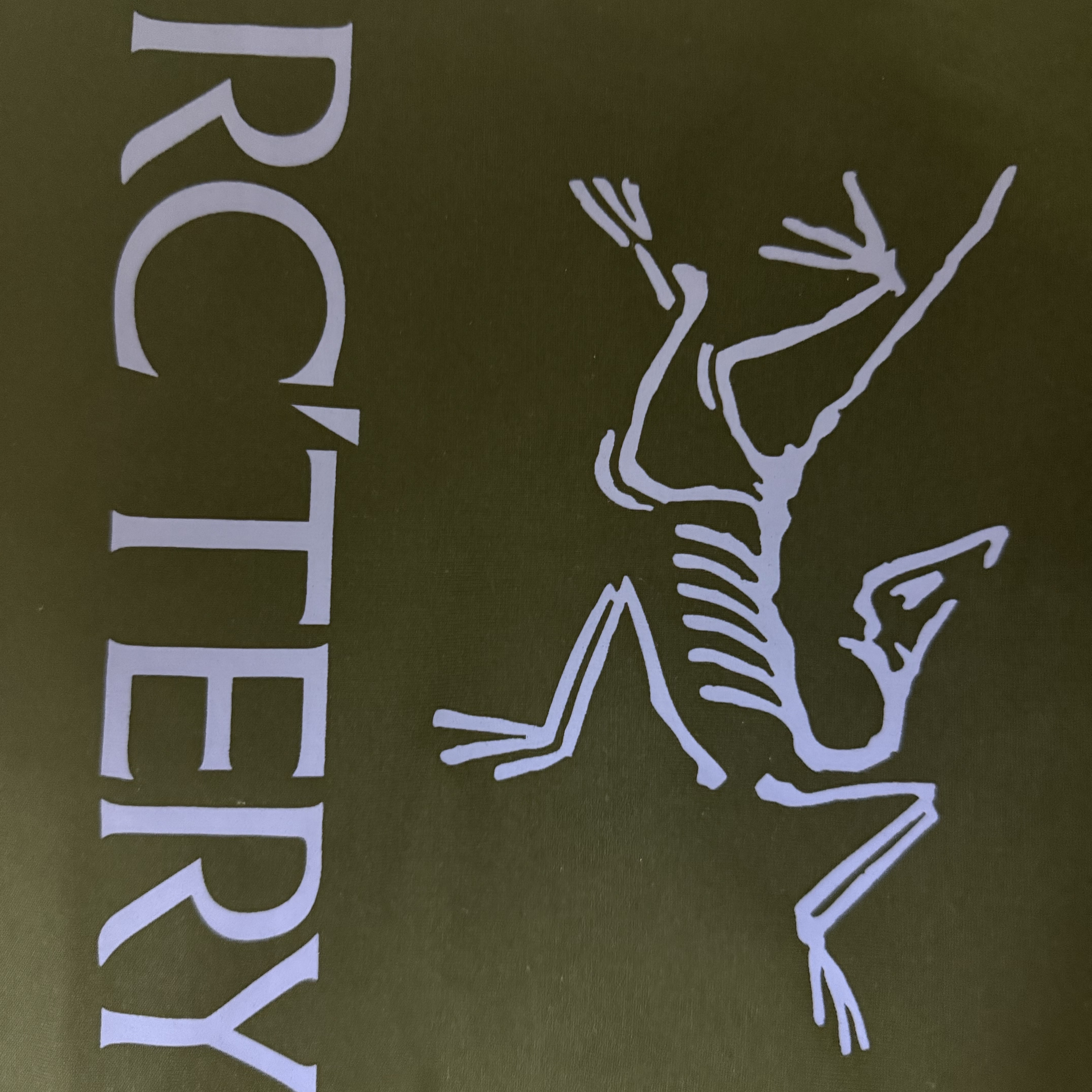 Arc'teryx Kragg SL Cotton Bird Word SS T-Shirt Black Electra 착용 스타일