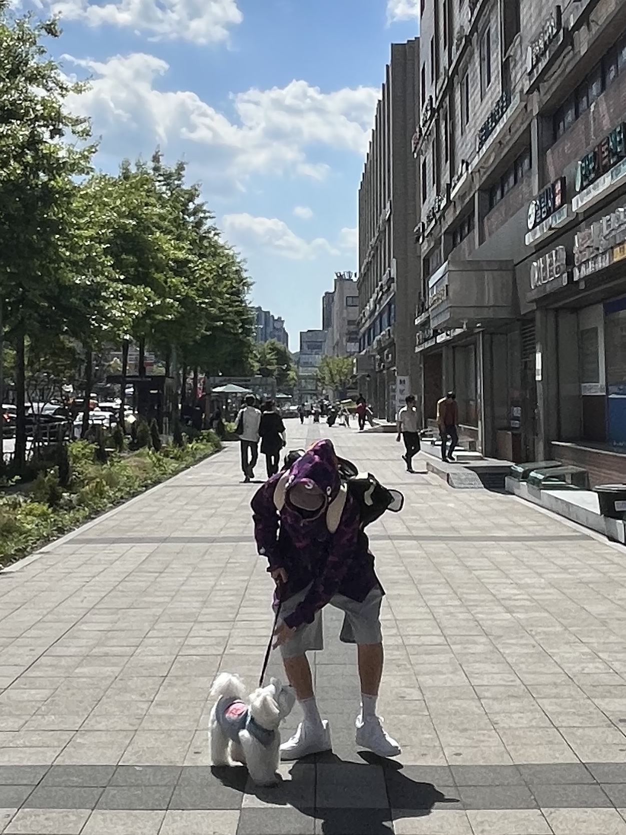 BAPE Color Camo Shark Full Zip Hoodie Purple, Nike x 1017 Alyx 9SM Air Force 1 Low SP White 착용 스타일