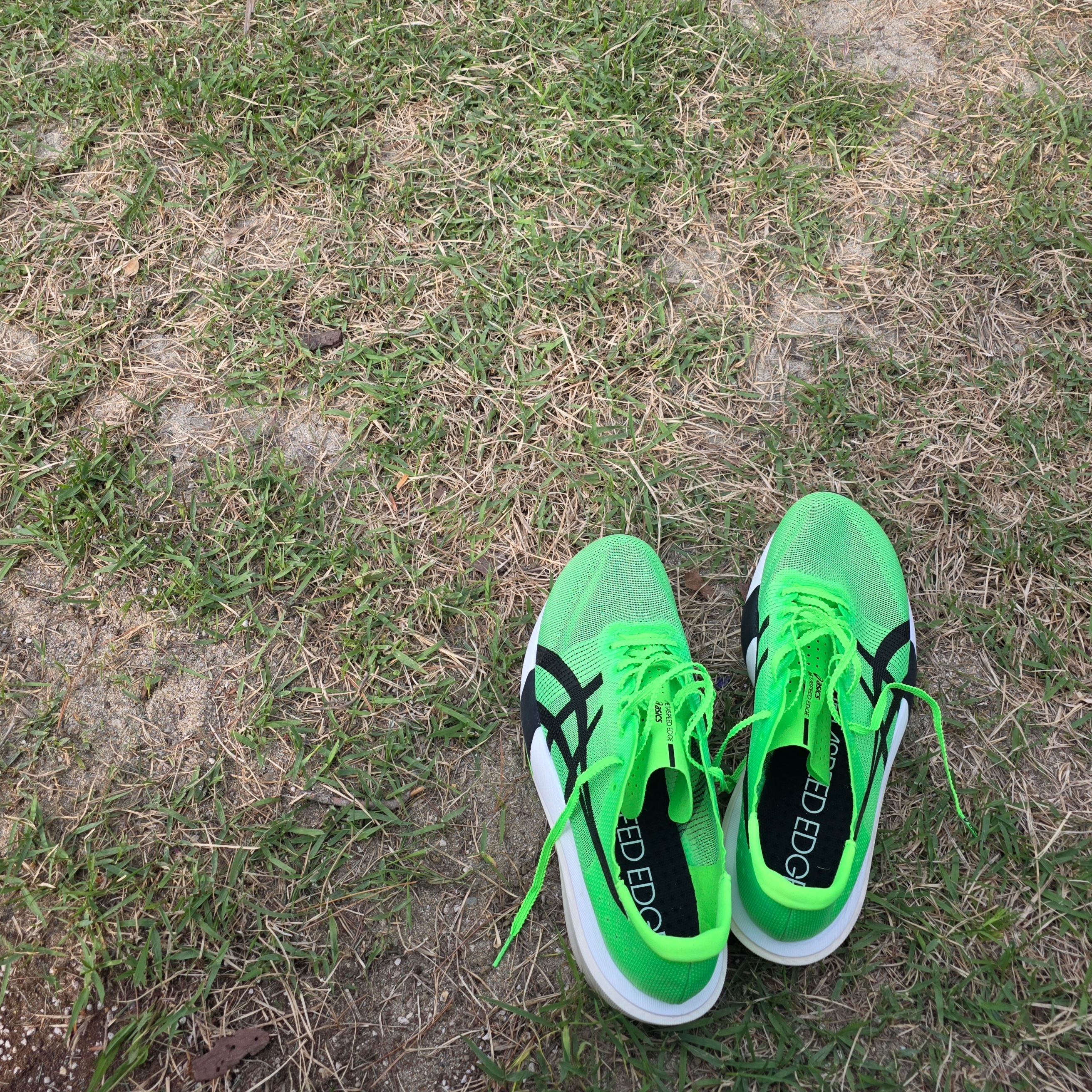 Asics Metaspeed Edge Tokyo Green Gecko Black 착용 스타일