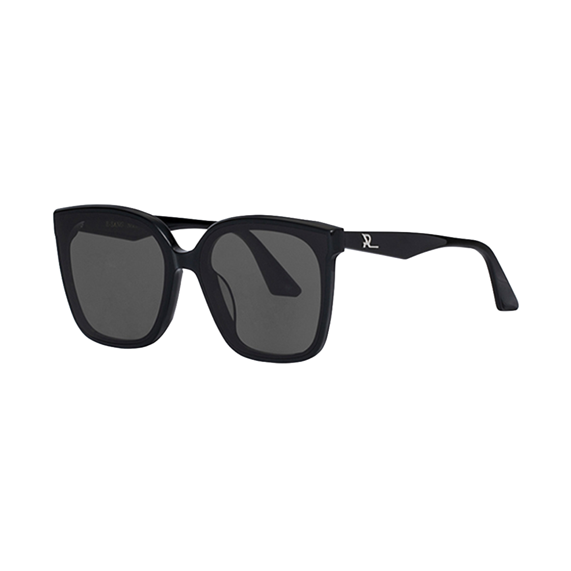 리끌로우 아세테이트 이-상 선글라스 블랙(RECLOW Acetate E-Sang Sunglasses Black) - 2