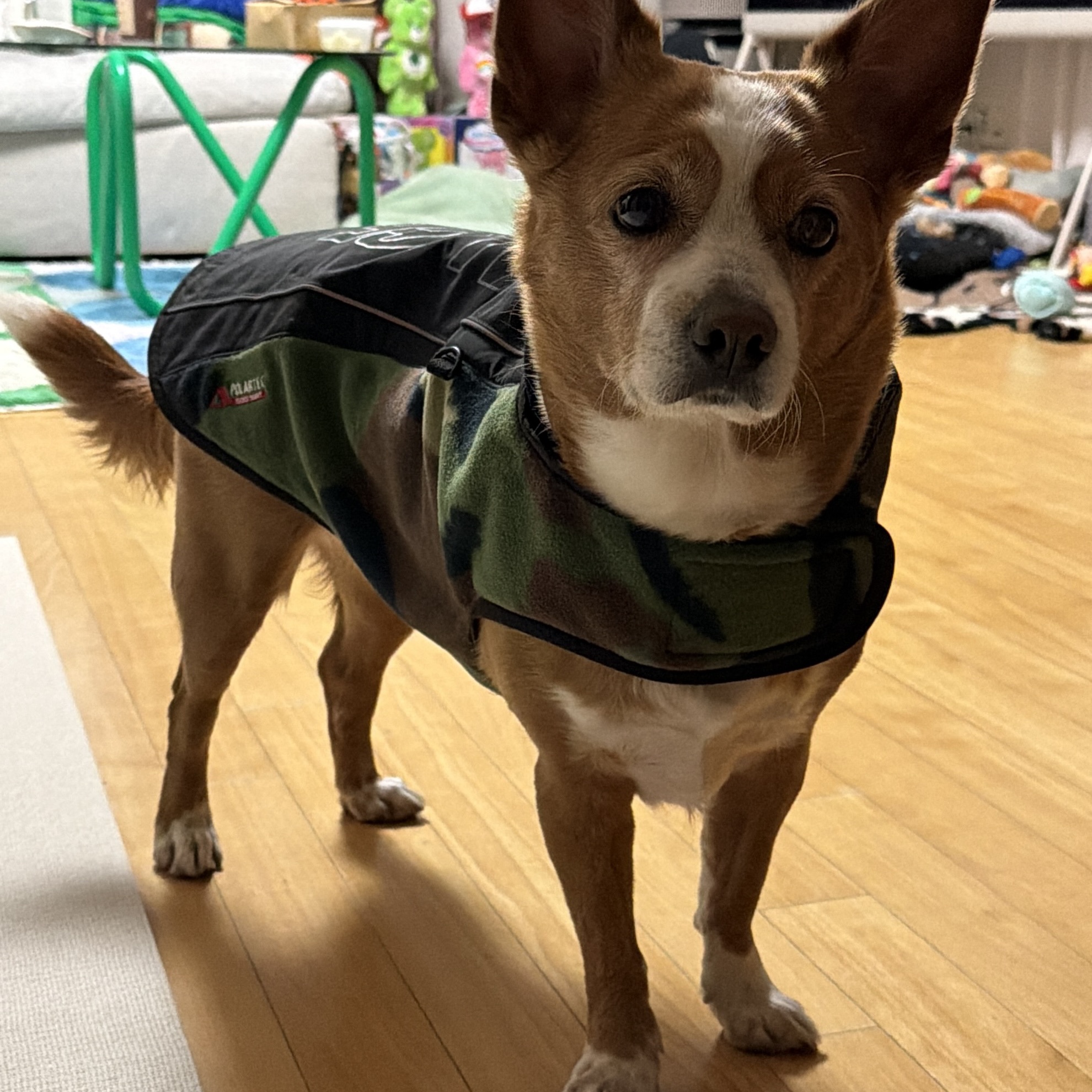 Palace Polartec Dog Jacket Camo Black - 26SS 착용 스타일 - 3