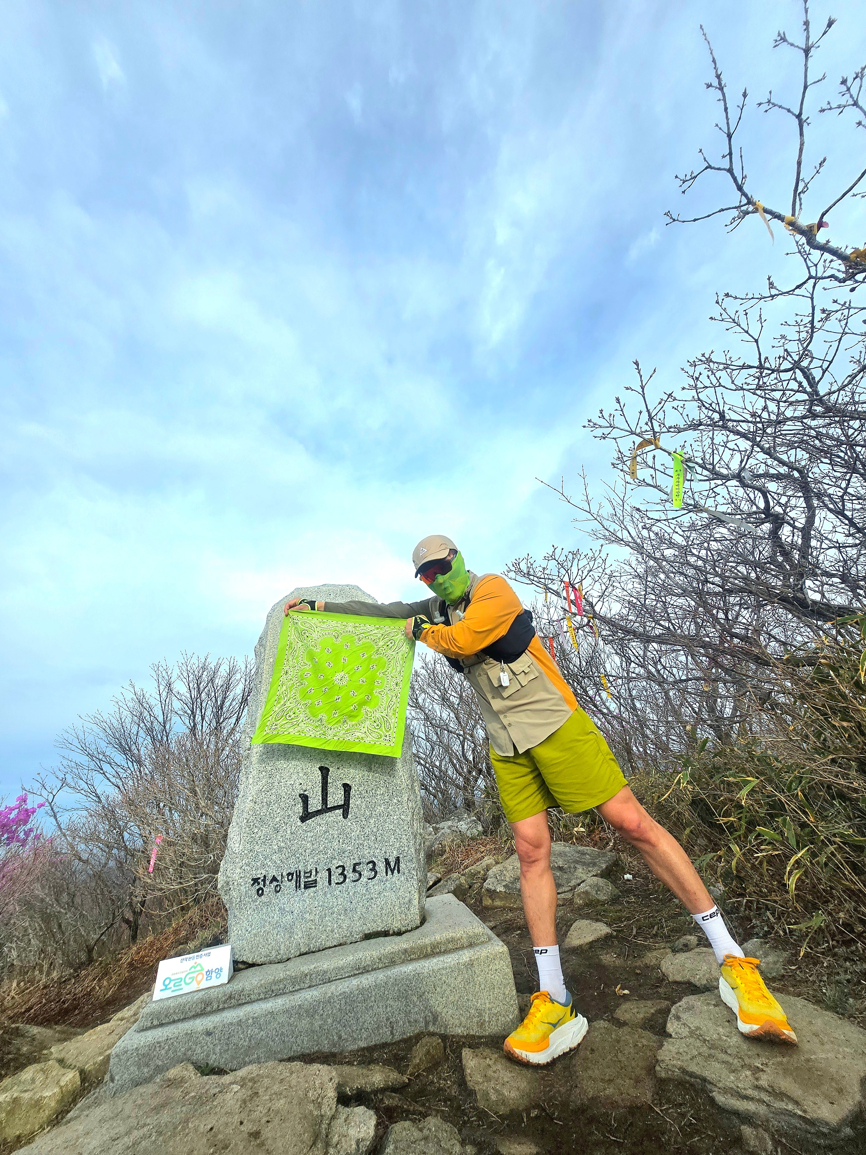 Nike NRG ACG Trail Shorts Moss - Asia 착용 스타일