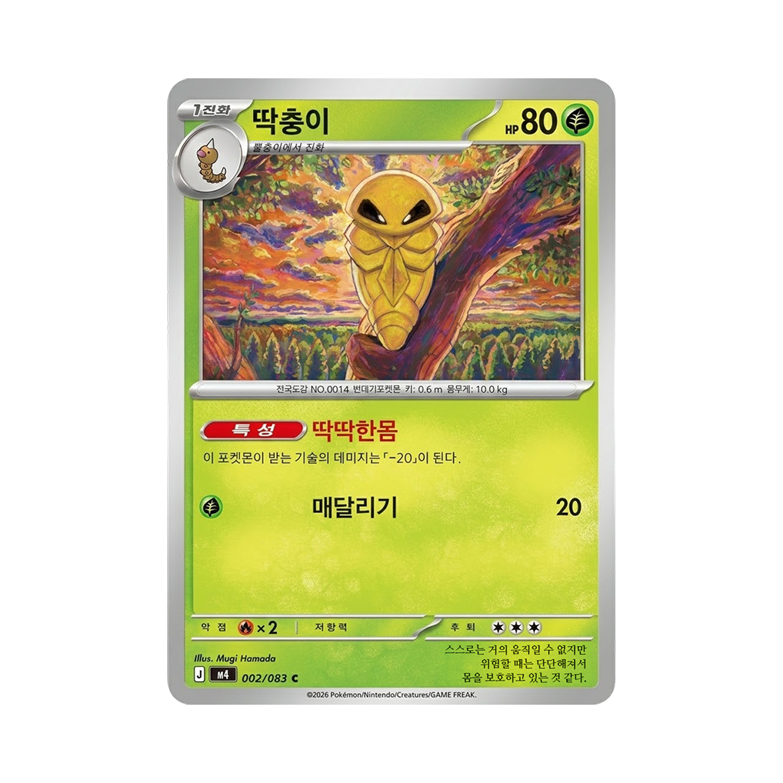 포켓몬 TCG 딱충이 C 메가 확장팩 닌자스피너 (한글판)(Pokemon TCG Kakuna C MEGA Expansion Pack Ninja Spinner (Korean Ver.)) - 1