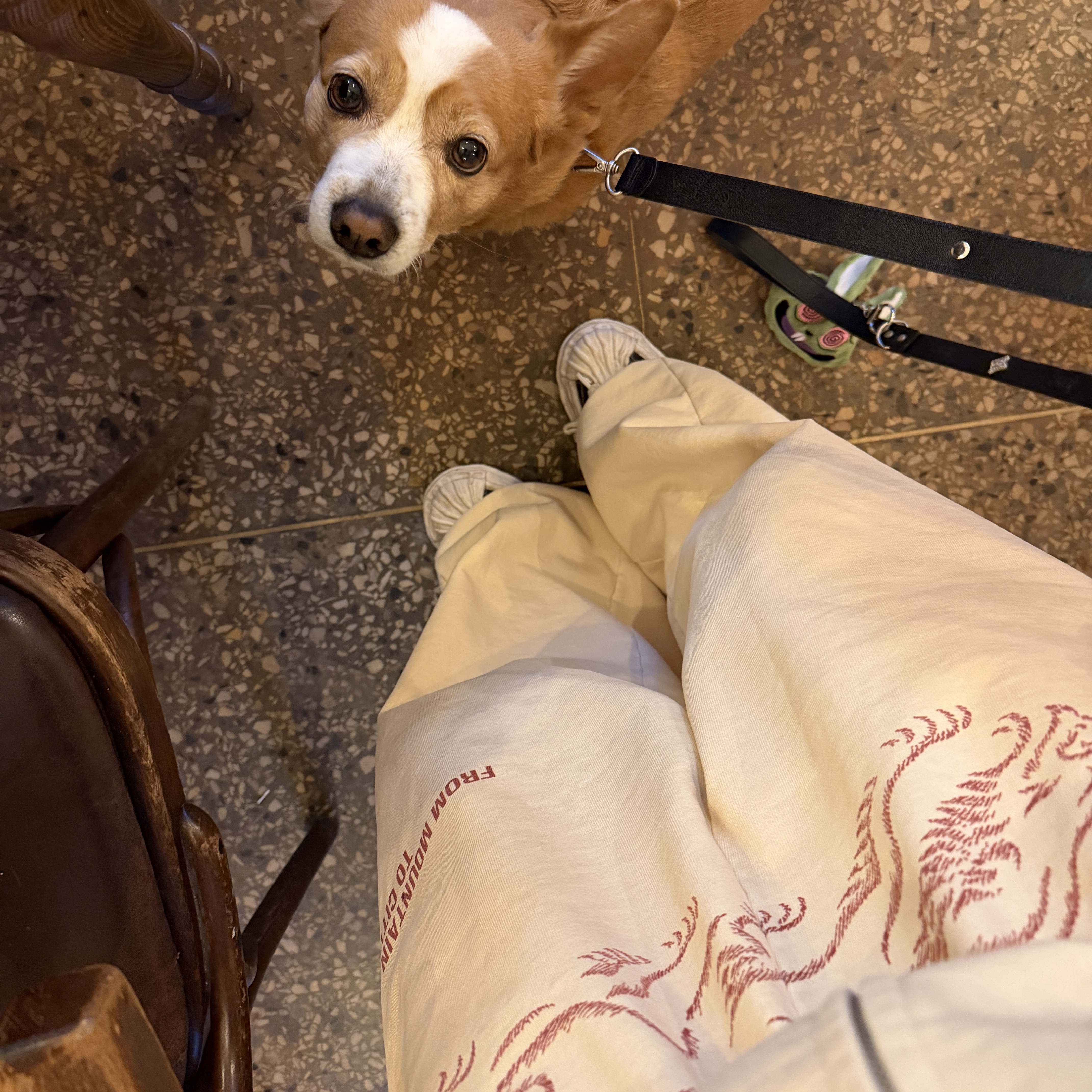 Bsrabbit Oil-Washed Graphic Pants Ivory, Bsrabbit Oil-Washed Graphic Zip-Up Hoodie Ivory 착용 스타일 - 6
