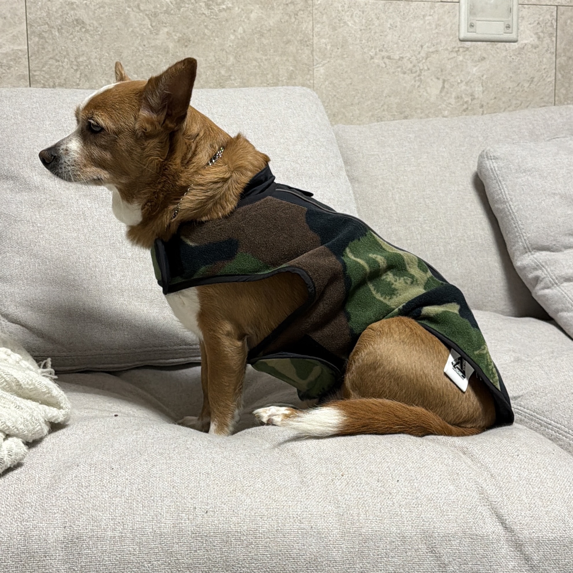 Palace Polartec Dog Jacket Camo Black - 26SS 착용 스타일 - 1