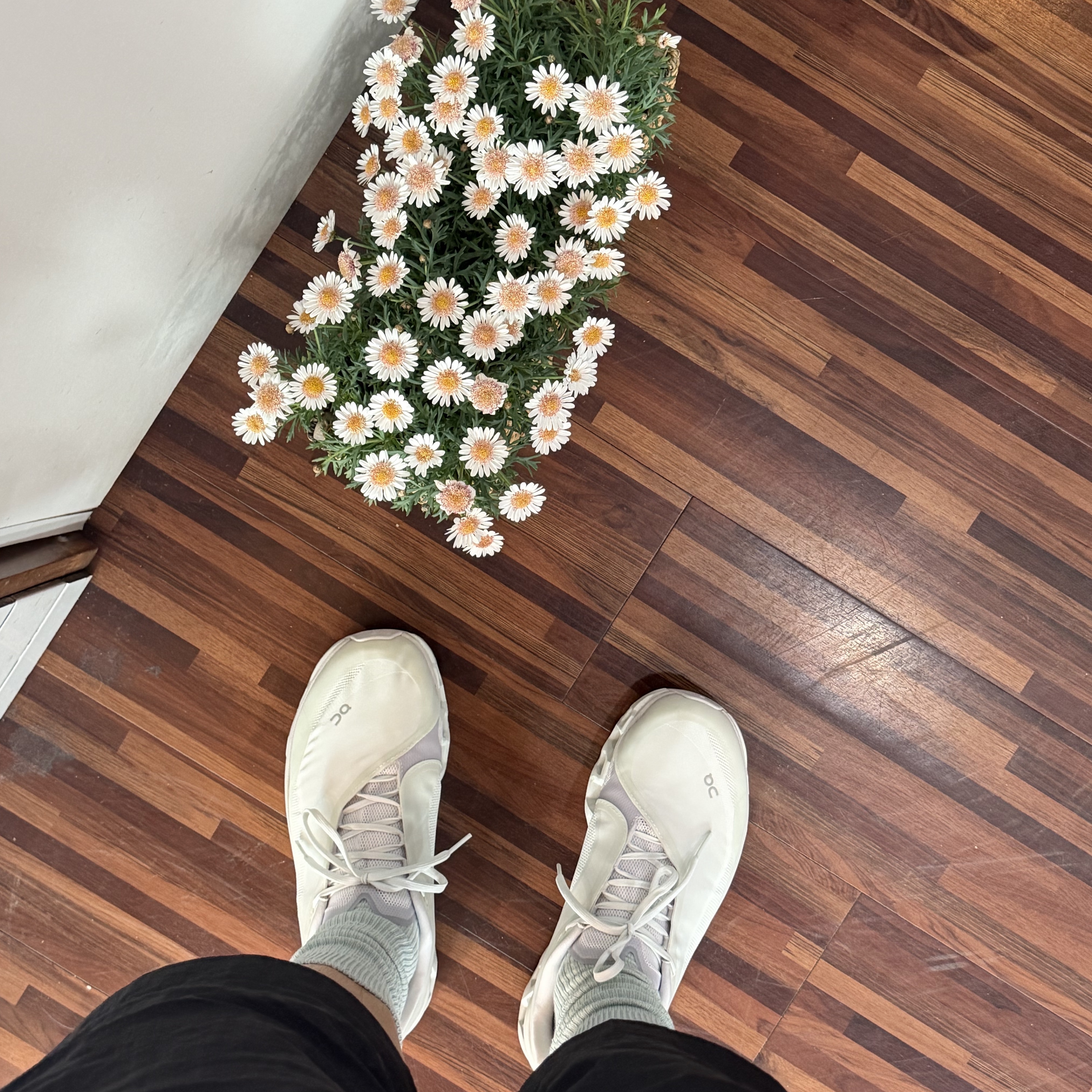 On Running x Post Archive Faction (Paf) Cloudmonster 2 Vapor Frost, Adidas Yeezy Foam RNNR Sand 착용 스타일 - 2