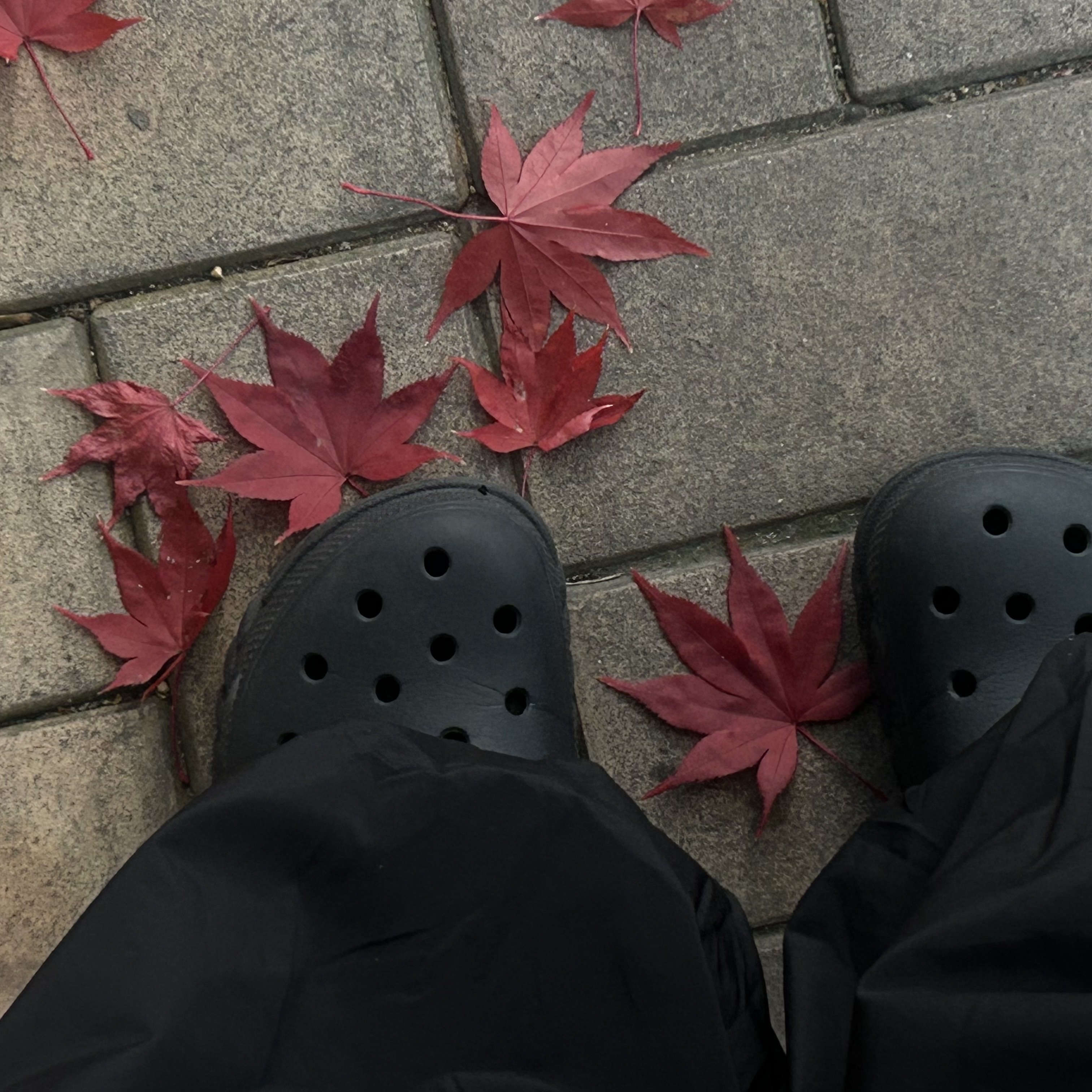 Crocs Echo Clog Black 착용 스타일