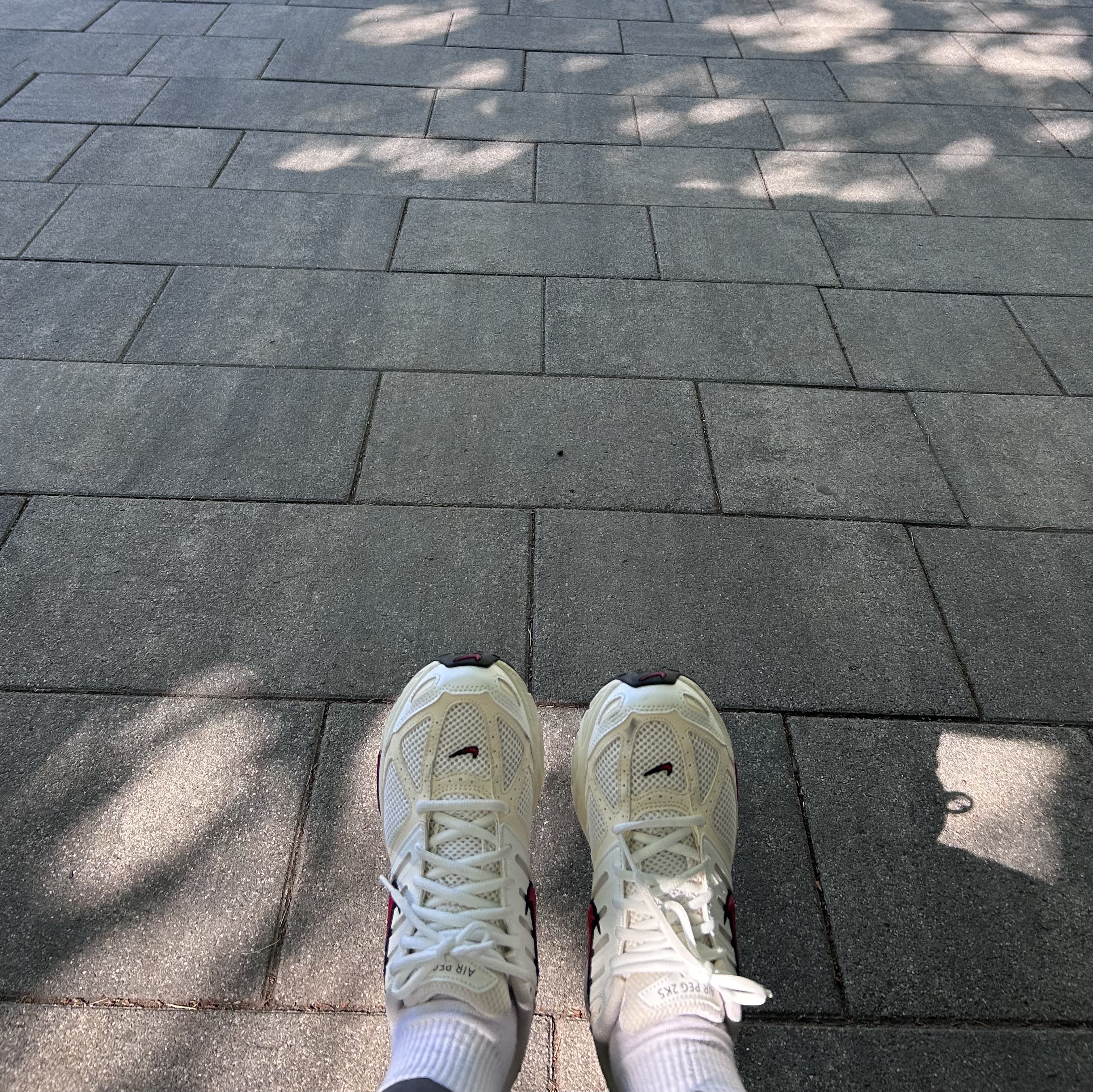 (W) Nike Air Pegasus 2K5 Phantom Coconut Milk ์ฐฉ์ฉ ์คํ์ผ - 1