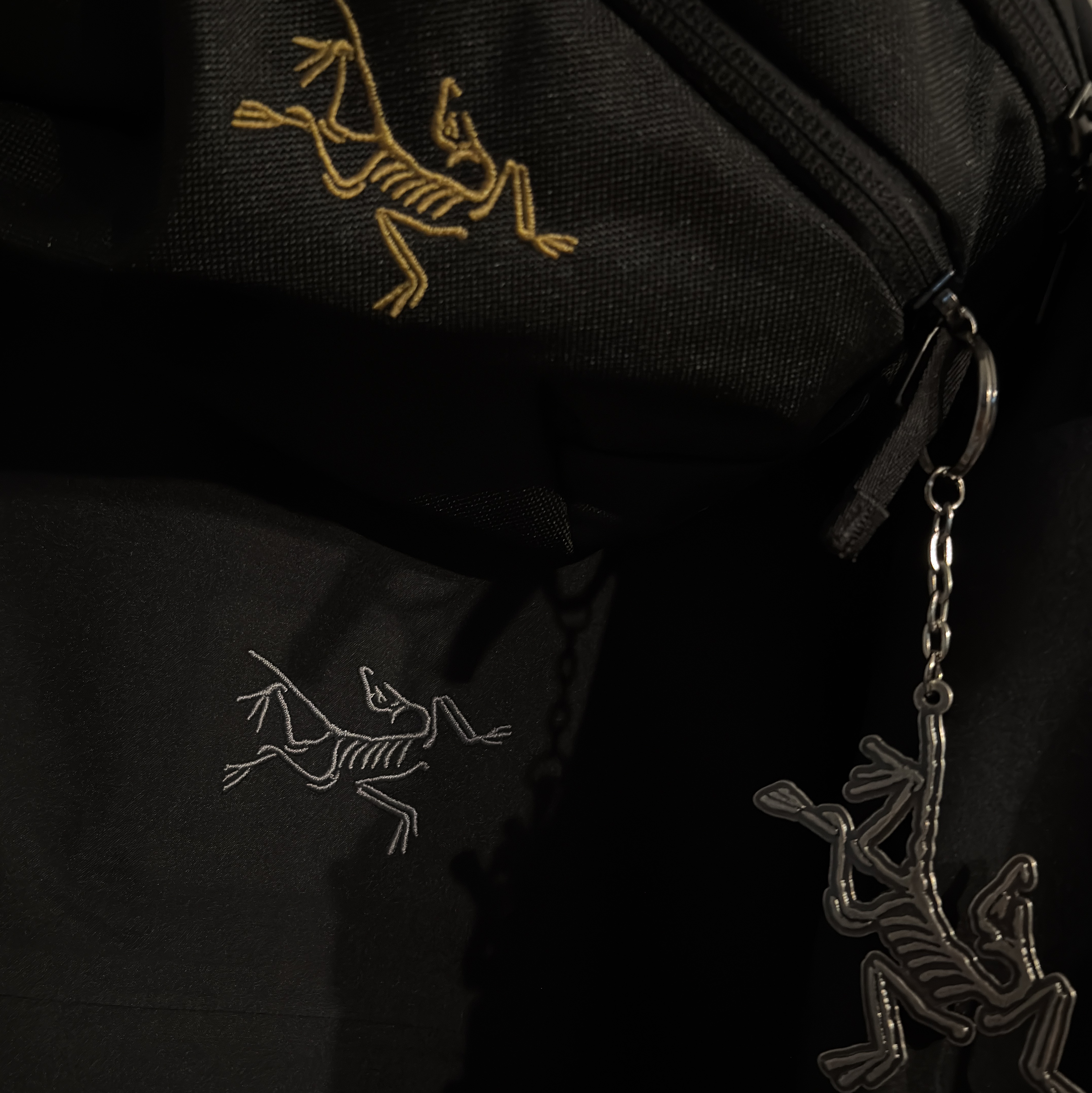 Arc'teryx Keyring Metal, Arc'teryx Mantis 1 Waistpack Black 착용 스타일