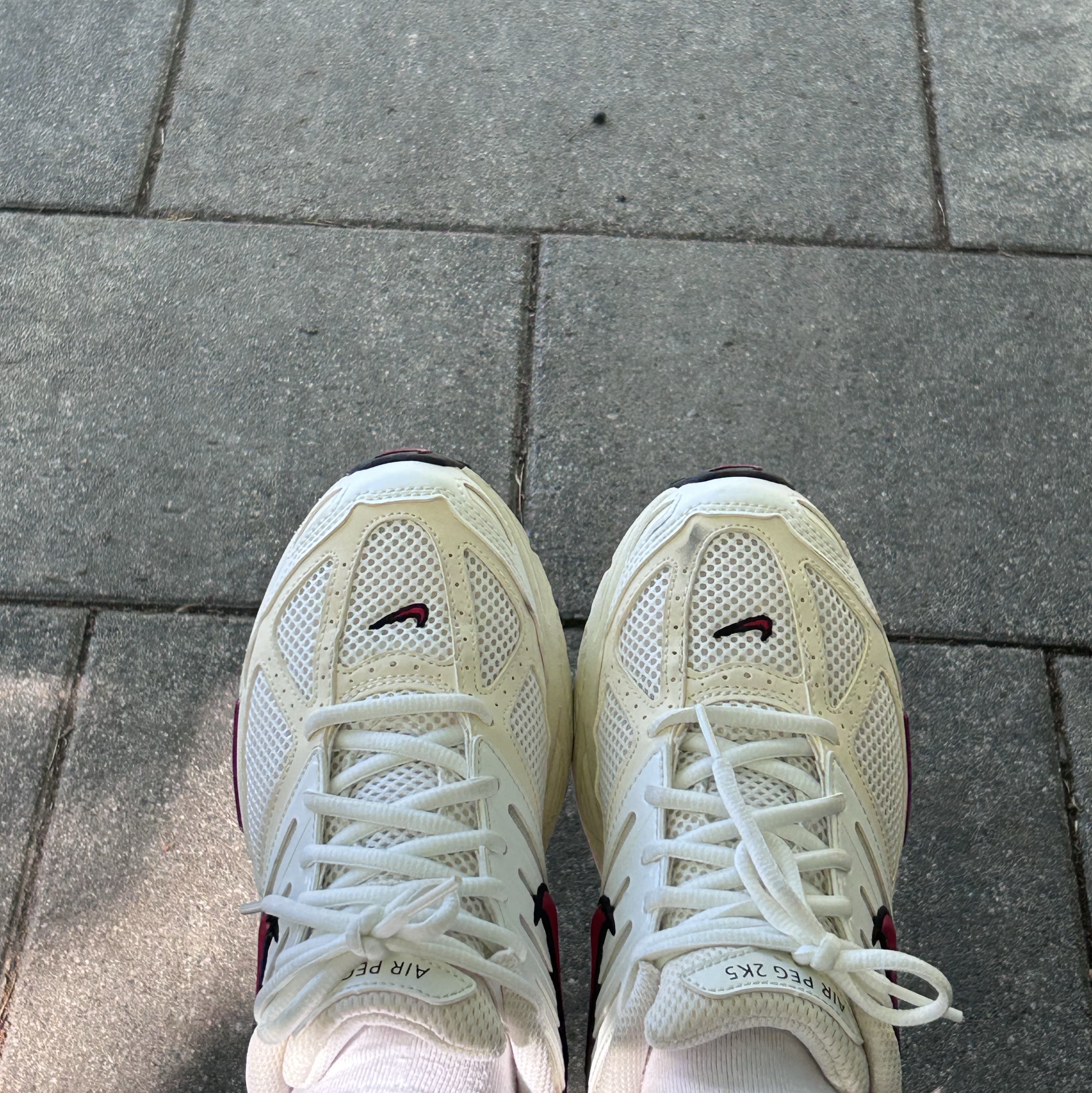 (W) Nike Air Pegasus 2K5 Phantom Coconut Milk ์ฐฉ์ฉ ์คํ์ผ - 2