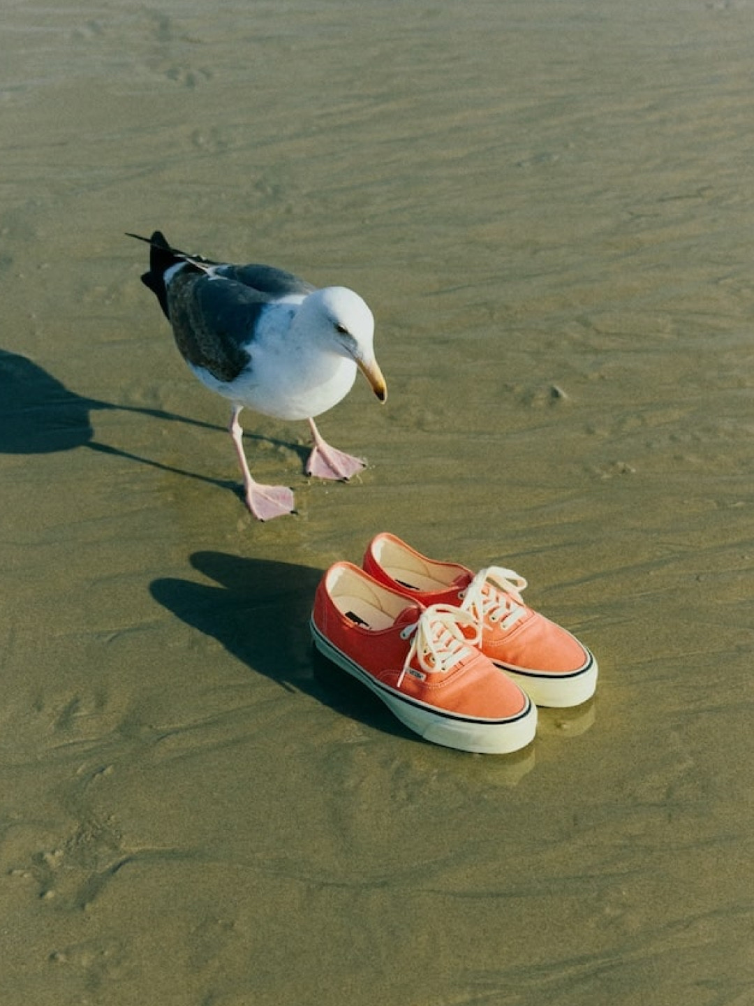 (W) Vans x Beams Boy Authentic Vintage Orange 착용 스타일 - 2