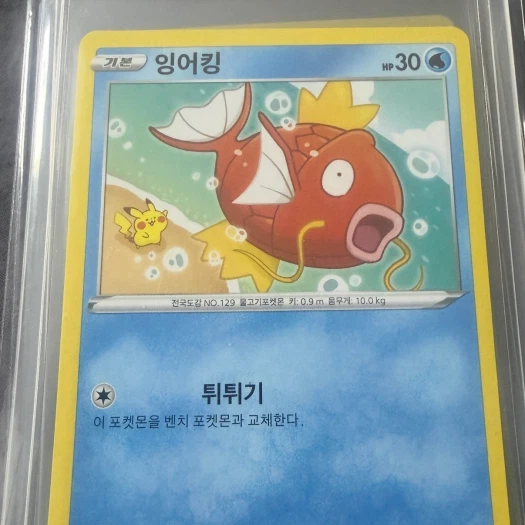 스타일 카드