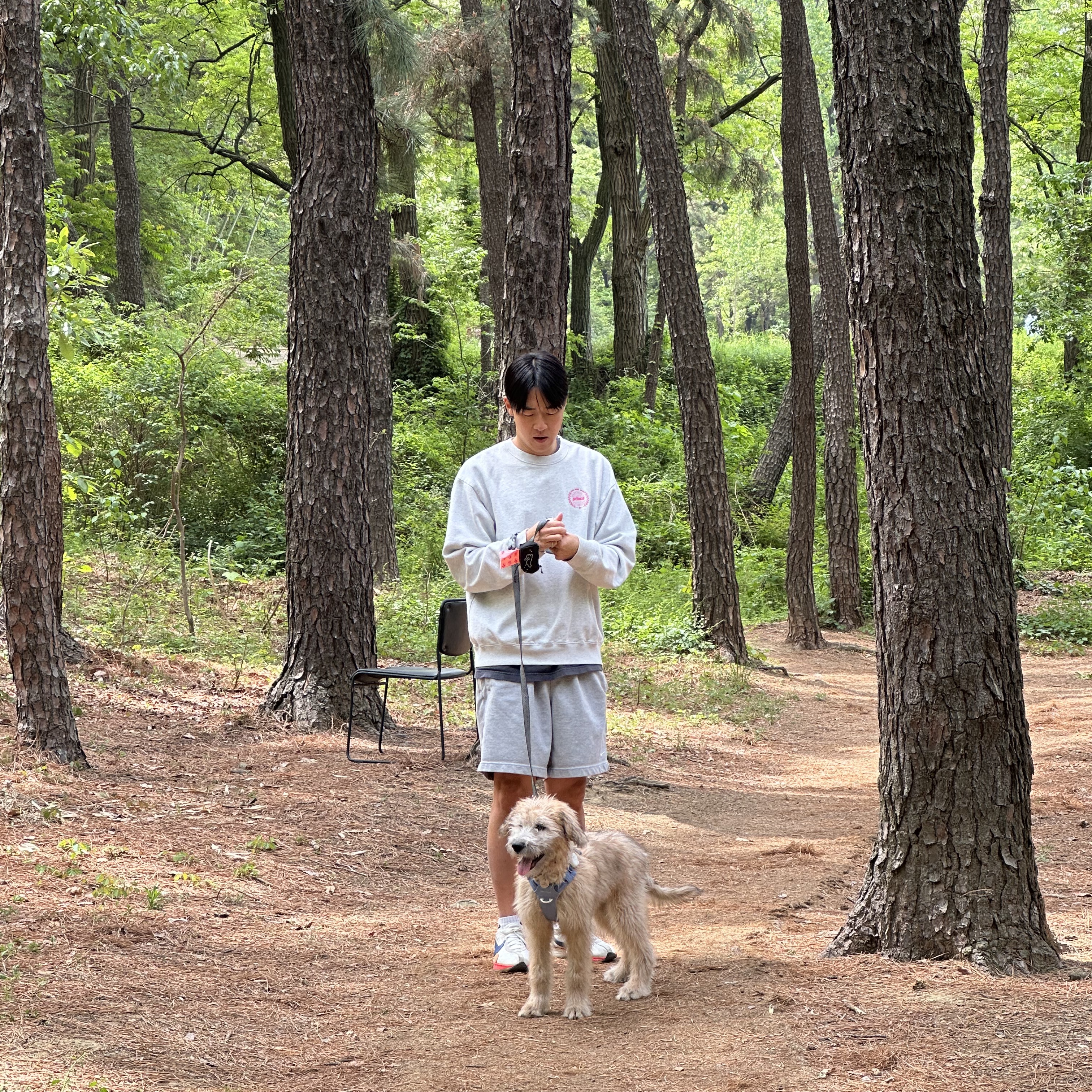 Sporty & Rich Prince Crest Crewneck Heather Grey, Nike Moon Racer Sail Solar Blue 착용 스타일 - 1