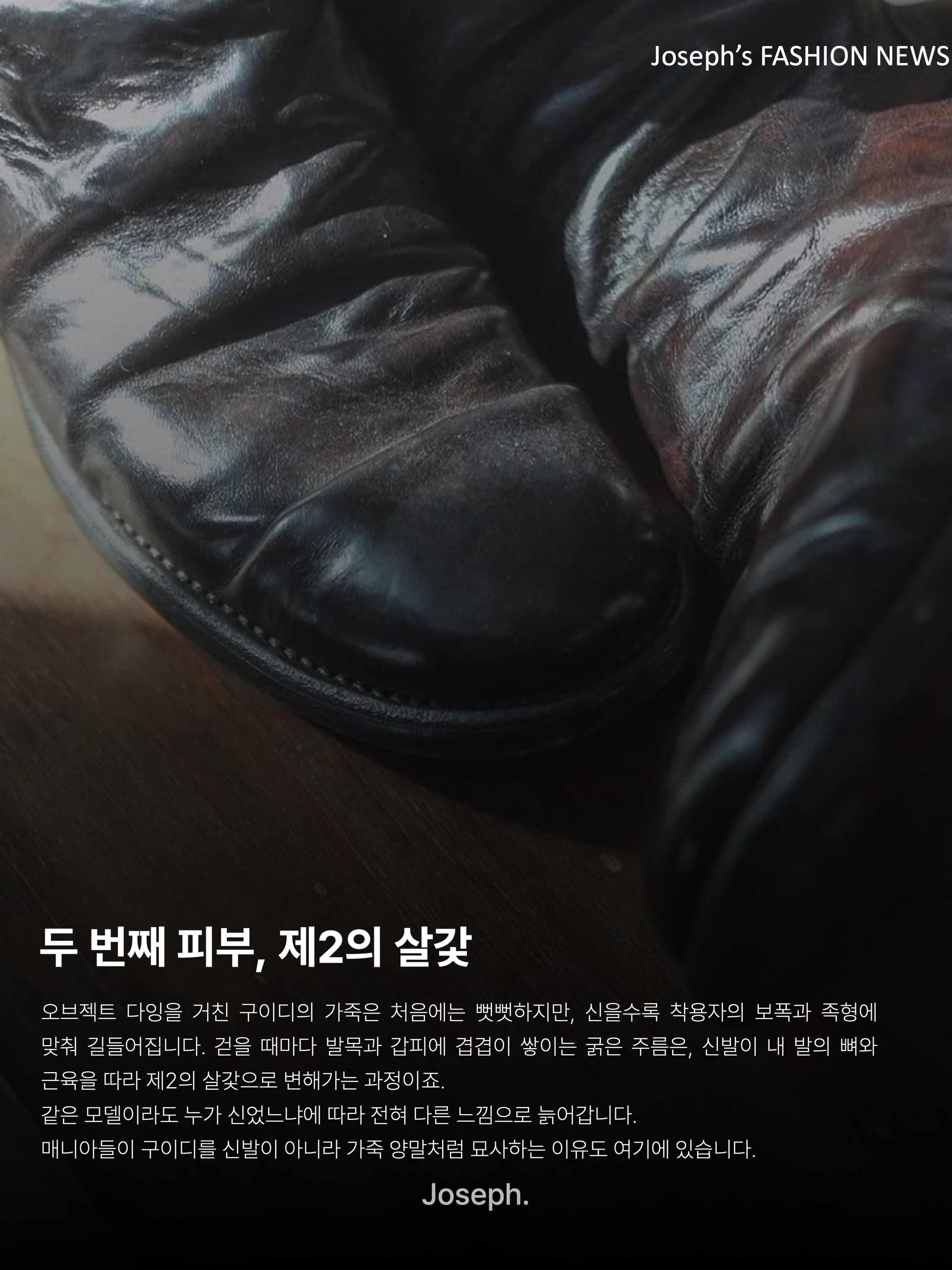 (W) Guidi 310 Soft Horse Full Grain Leather Front Zip Boots Black, Guidi 992X Horse Full Grain Leather Derby Black 착용 스타일 - 7