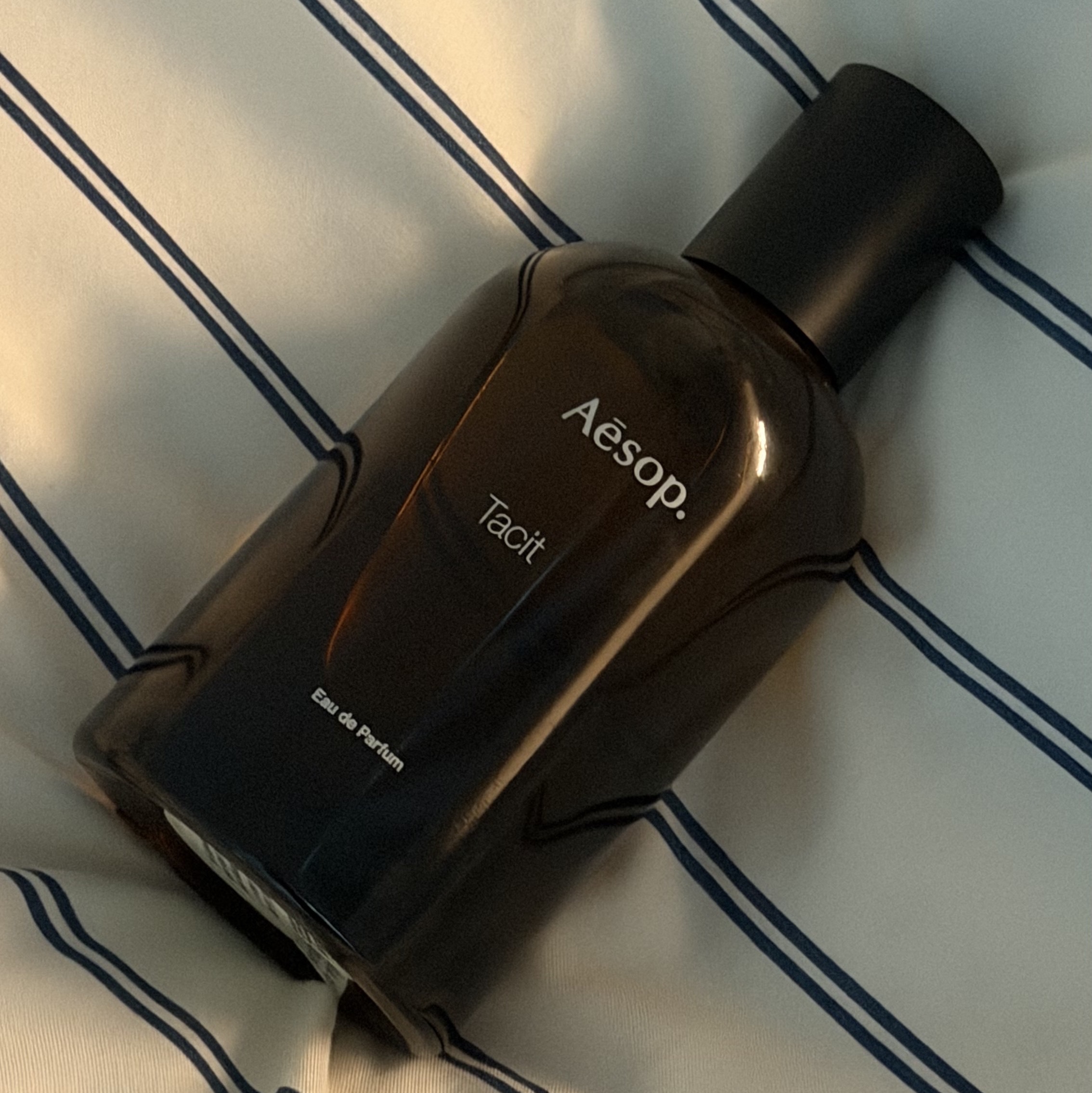 Aesop Tacit Eau De Parfum 100ml 착용 스타일