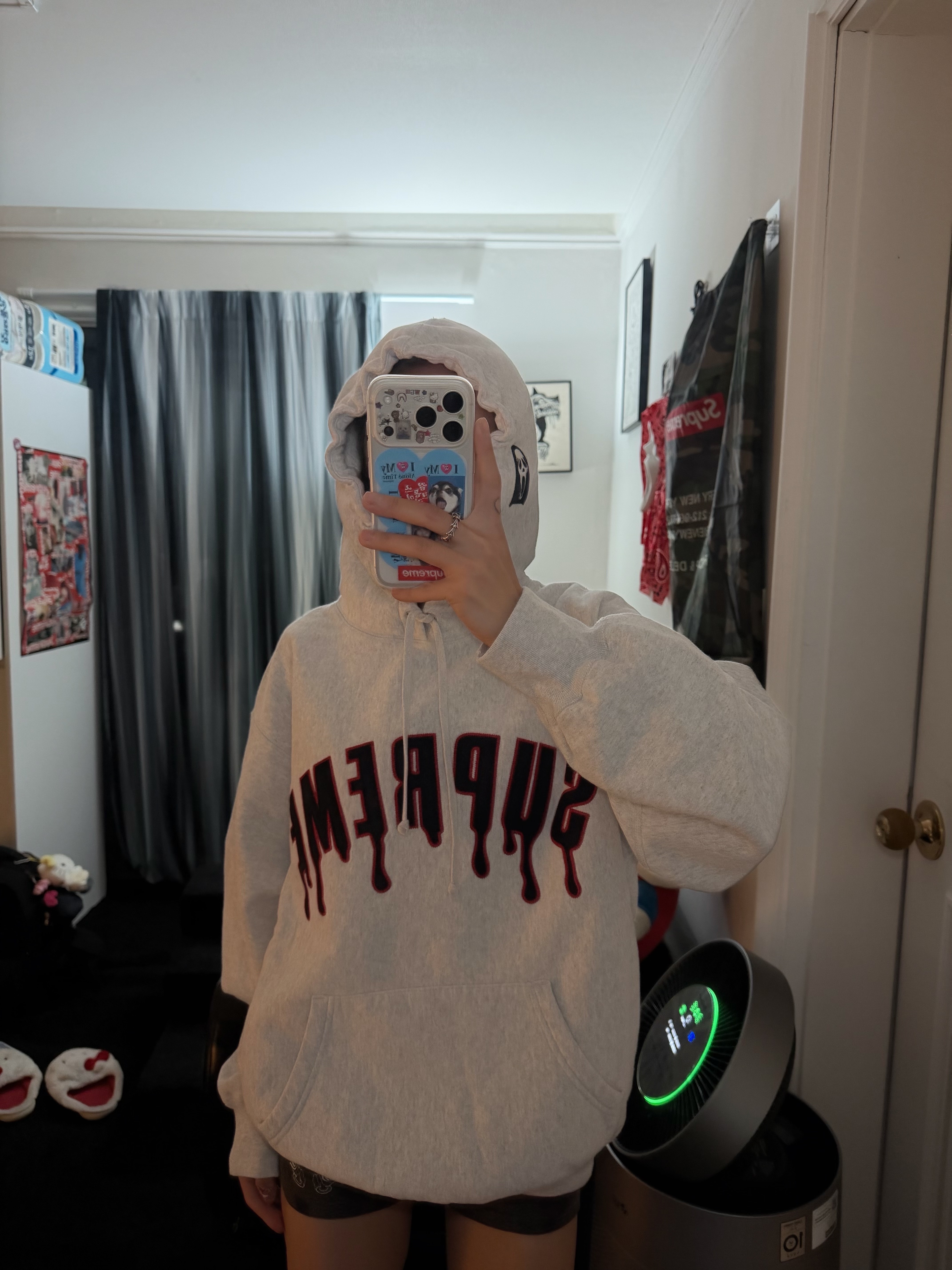 Supreme Ghostface Arc Hooded Sweatshirt Ash Grey - 26SS 착용 스타일 - 1