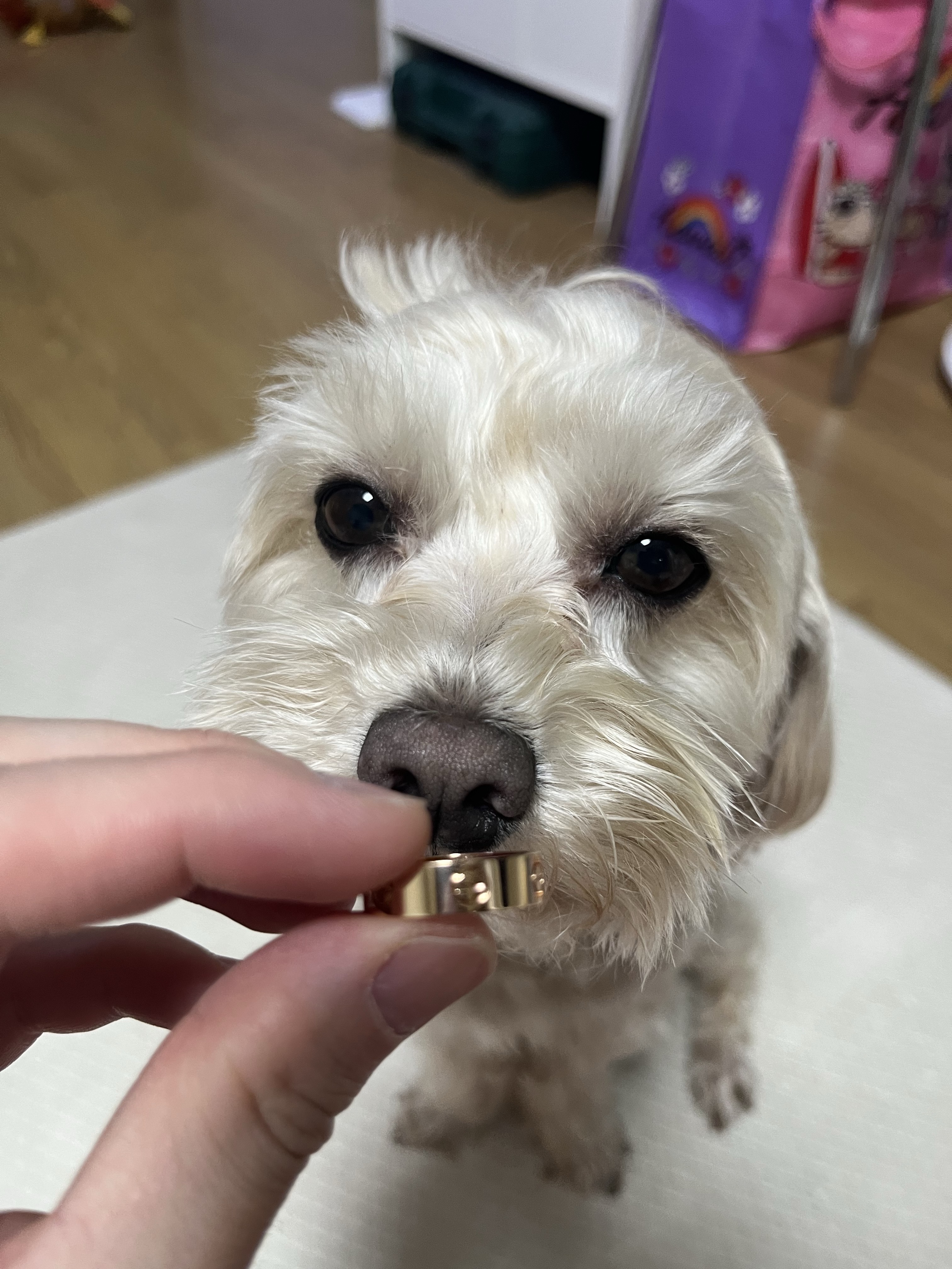 Cartier Love Wedding Band Rose Gold, Cartier Love Small Ring Pink Gold 착용 스타일 - 6