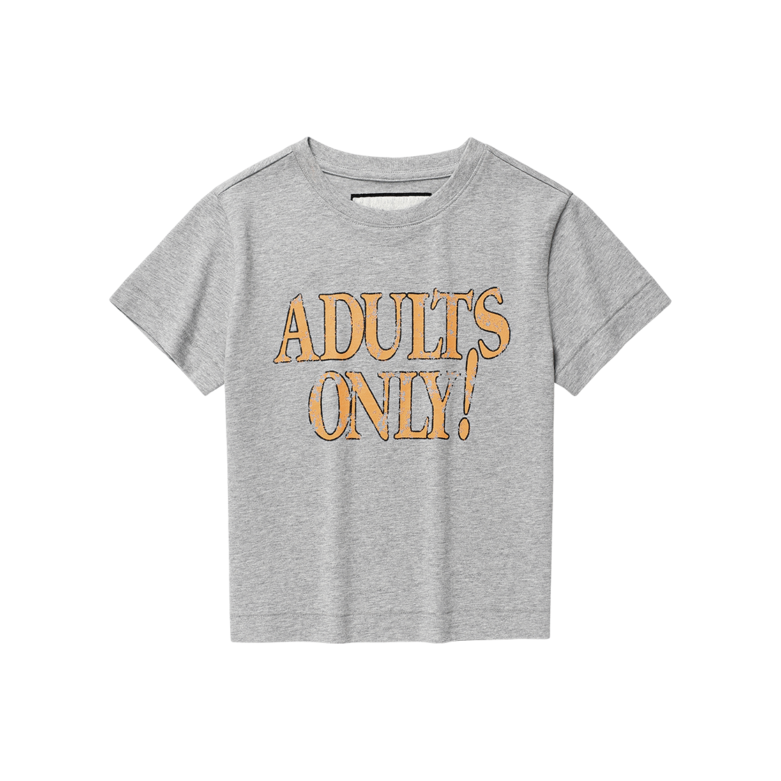 더바이닐하우스 어덜츠 온리 티 그레이(Thevinylhouse Adults Only Tee Grey) - 3
