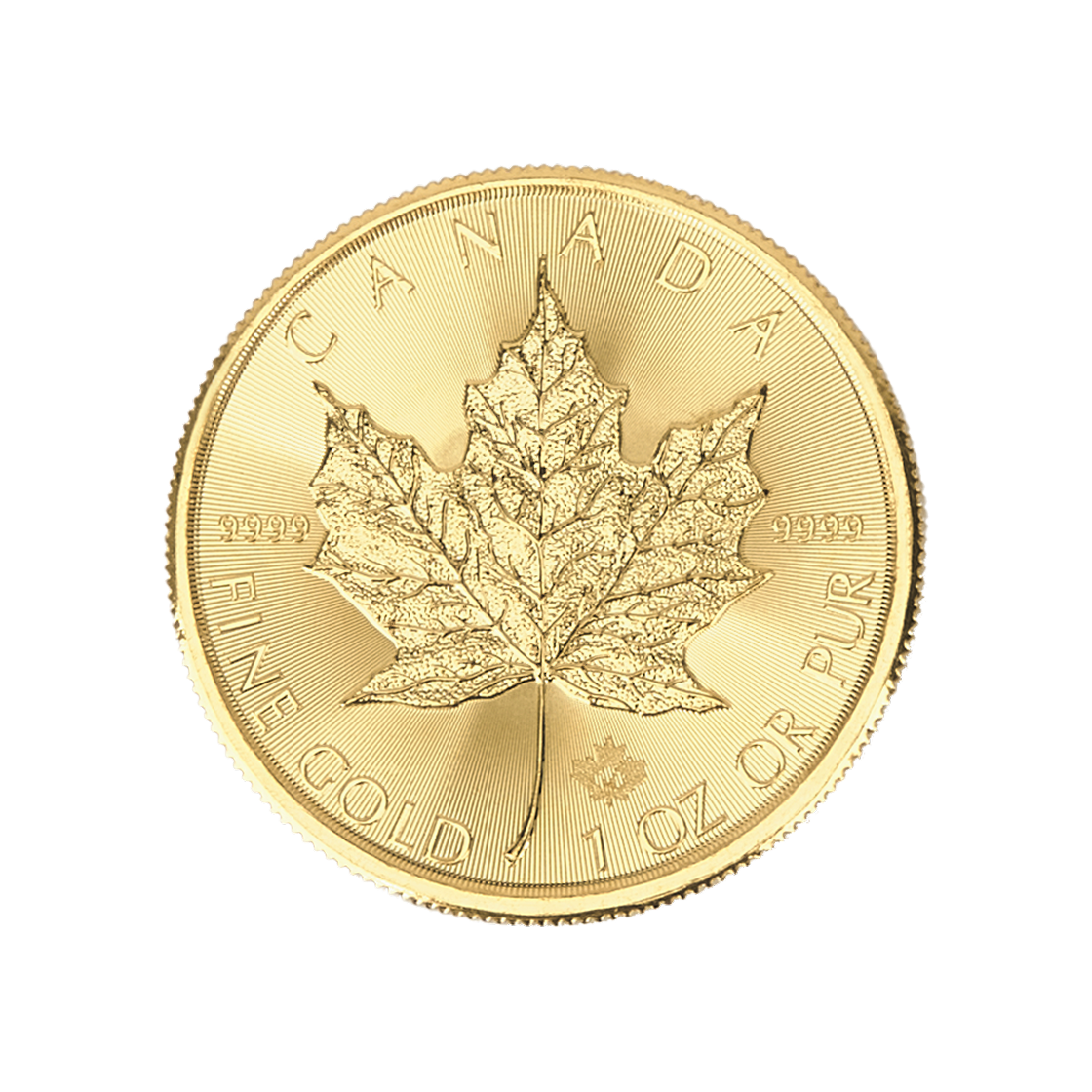 금 캐나다 왕립 조폐국 캐나다 골드 메이플 리프코인 1온즈 (랜덤 연도/랜덤 디자인)(Gold Royal Canadian Mint Canada Maple Leaf Coin 1 oz (Random Year/Random Design))