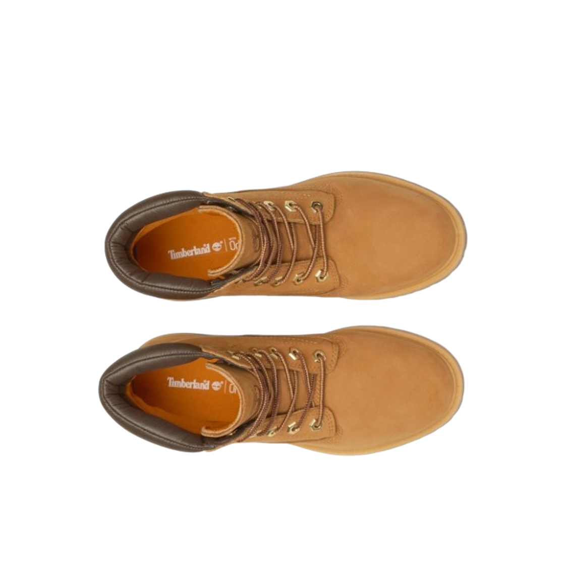 (W) 팀버랜드 워터빌 6인치 워터프루프 워커 부츠 위트 브라운 - 와이드((W) Timberland Waterville 6 inch Waterproof Worker Boots Wheat Brown - Wide) - 2
