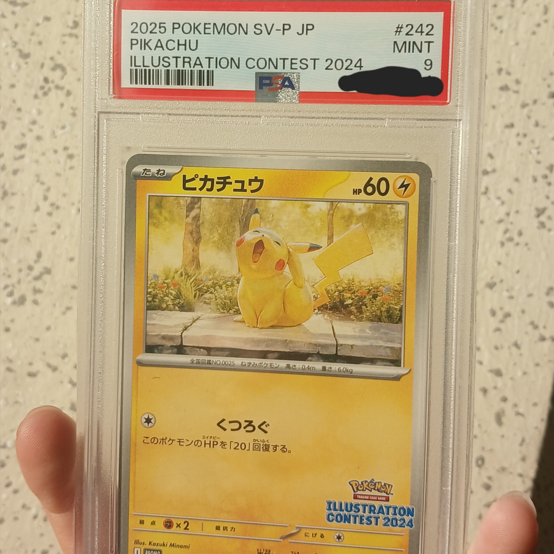 Pokemon TCG Pikachu P Scarlet & Violet Promos (Japanese Ver.) 착용 스타일