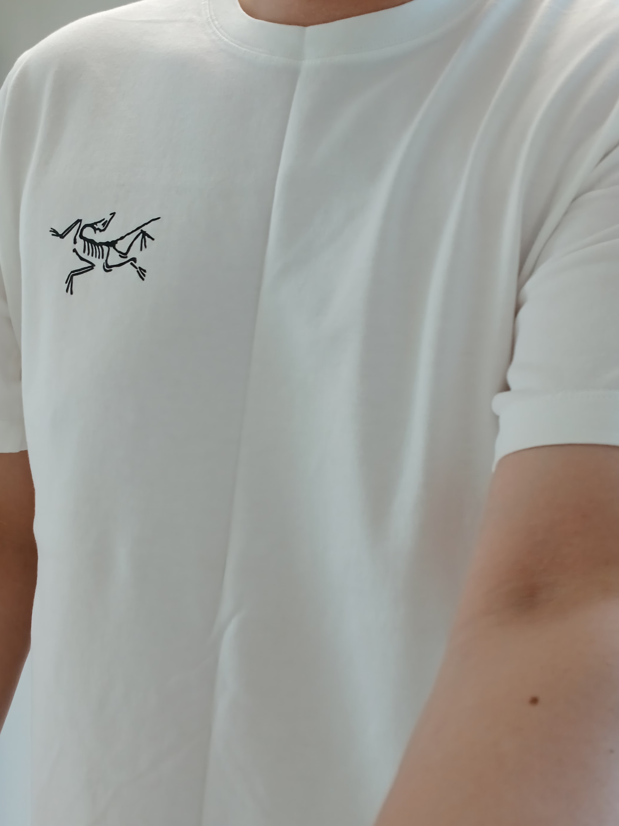 Arc'teryx Bird Word Trucker Hat Black Cloud, Arc'teryx Arc'Multi Bird Logo SS T-Shirt White Light 착용 스타일 - 3