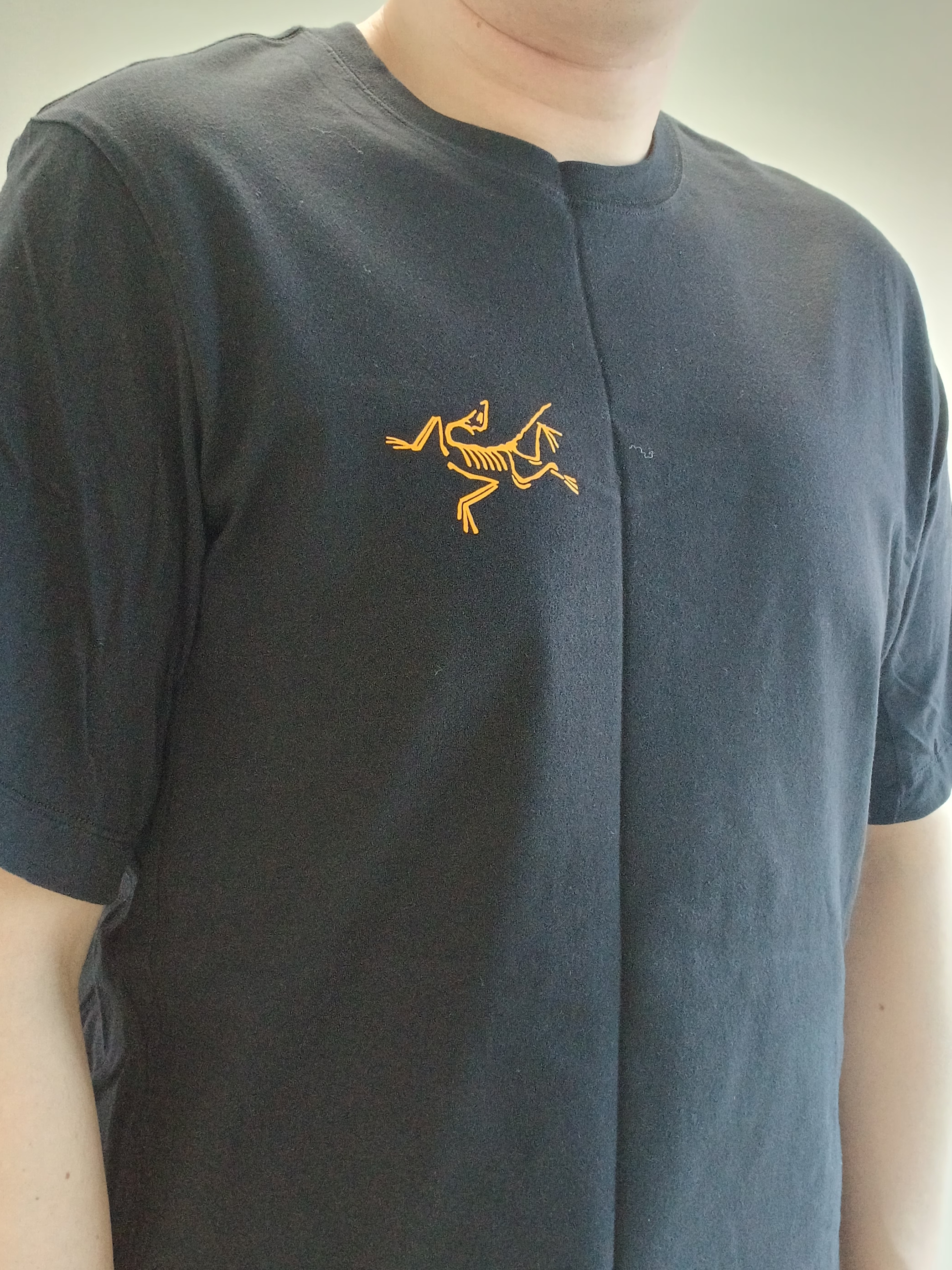 Arc'teryx Arc'Multi Bird Logo SS T-Shirt Black 착용 스타일 - 2