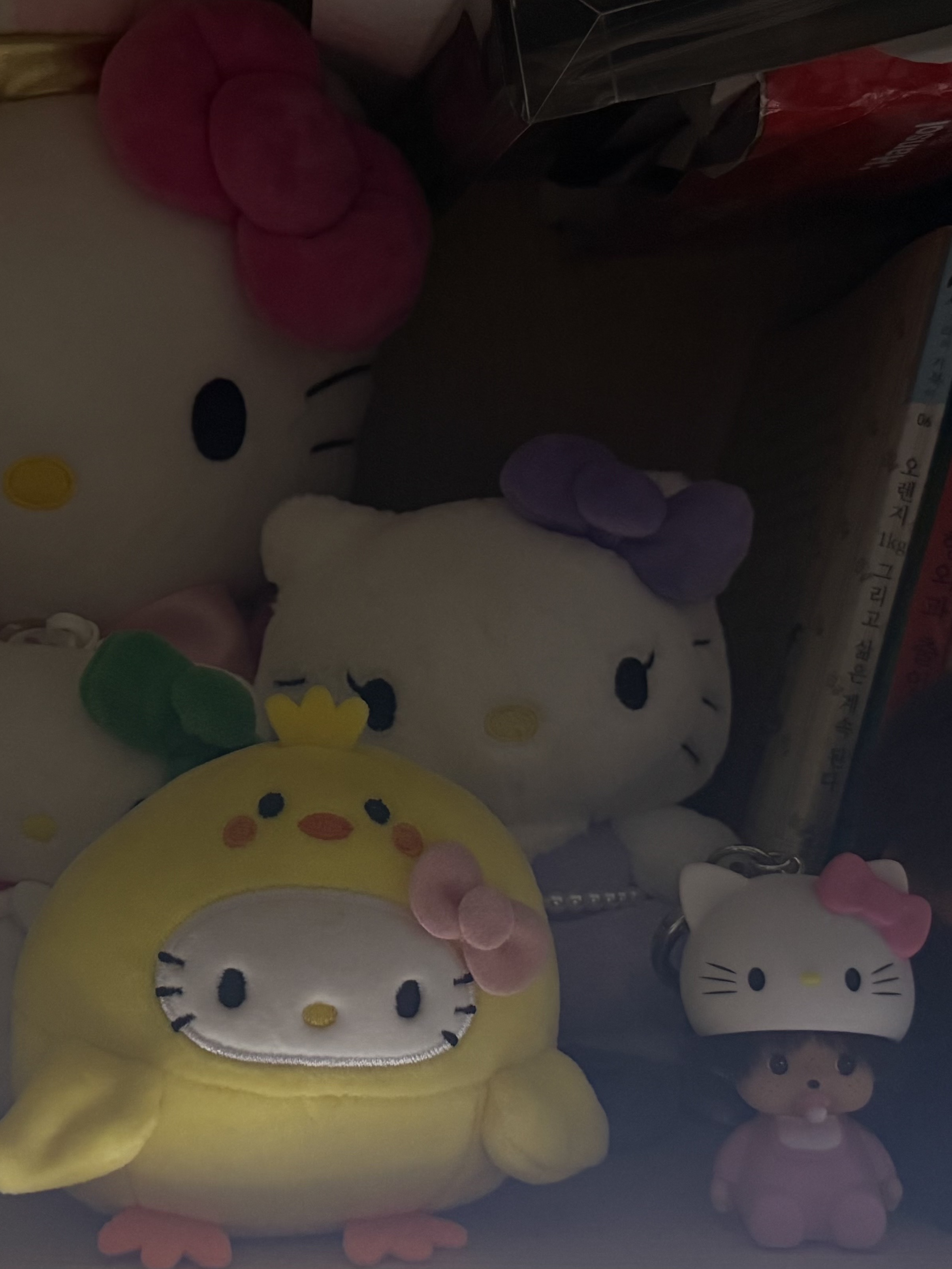 [HELLO KITTY x JISOO] Plush Keychain 착용 스타일 - 2