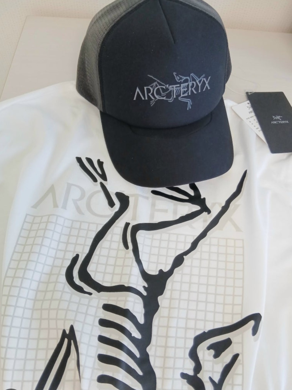Arc'teryx Bird Word Trucker Hat Black Cloud, Arc'teryx Arc'Multi Bird Logo SS T-Shirt White Light 착용 스타일 - 1