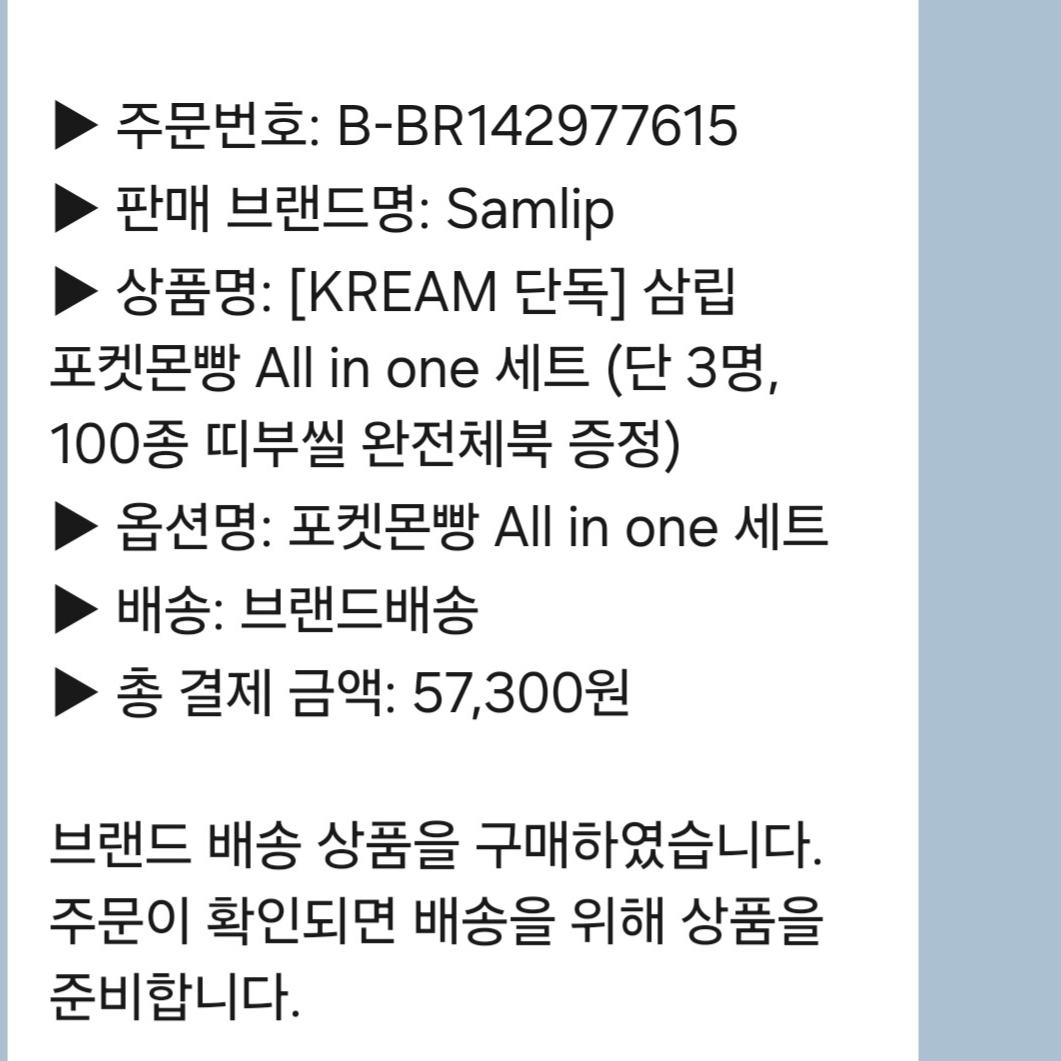[KREAM 단독] Samlip Pokémon Bread All-in-One Set (Limited to 3, Includes Complete 100-Sticker Collector Book) 착용 스타일